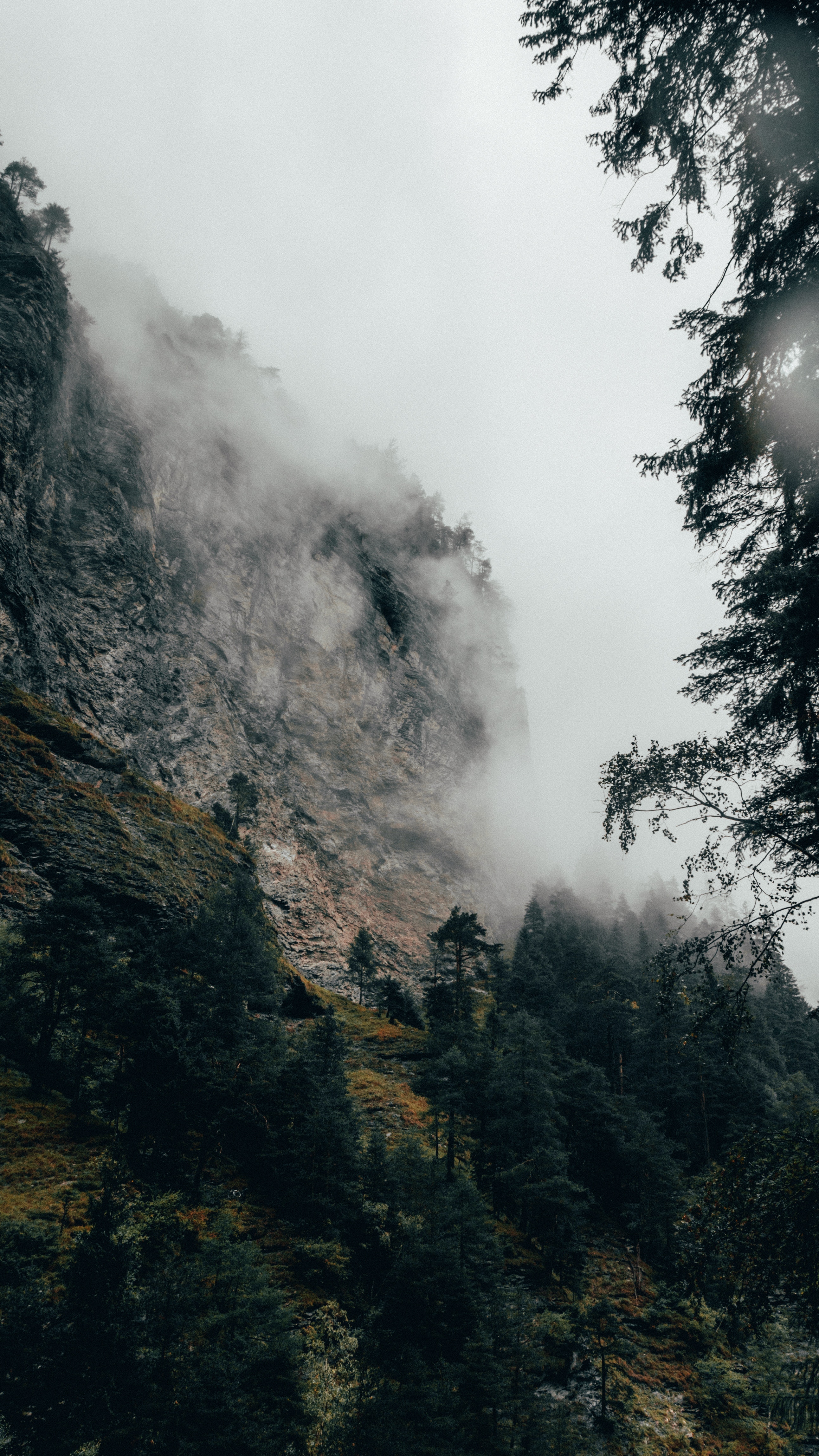 Free download wallpaper Trees, Mountain, Fog, Slope, Nature, Switzerland on your PC desktop