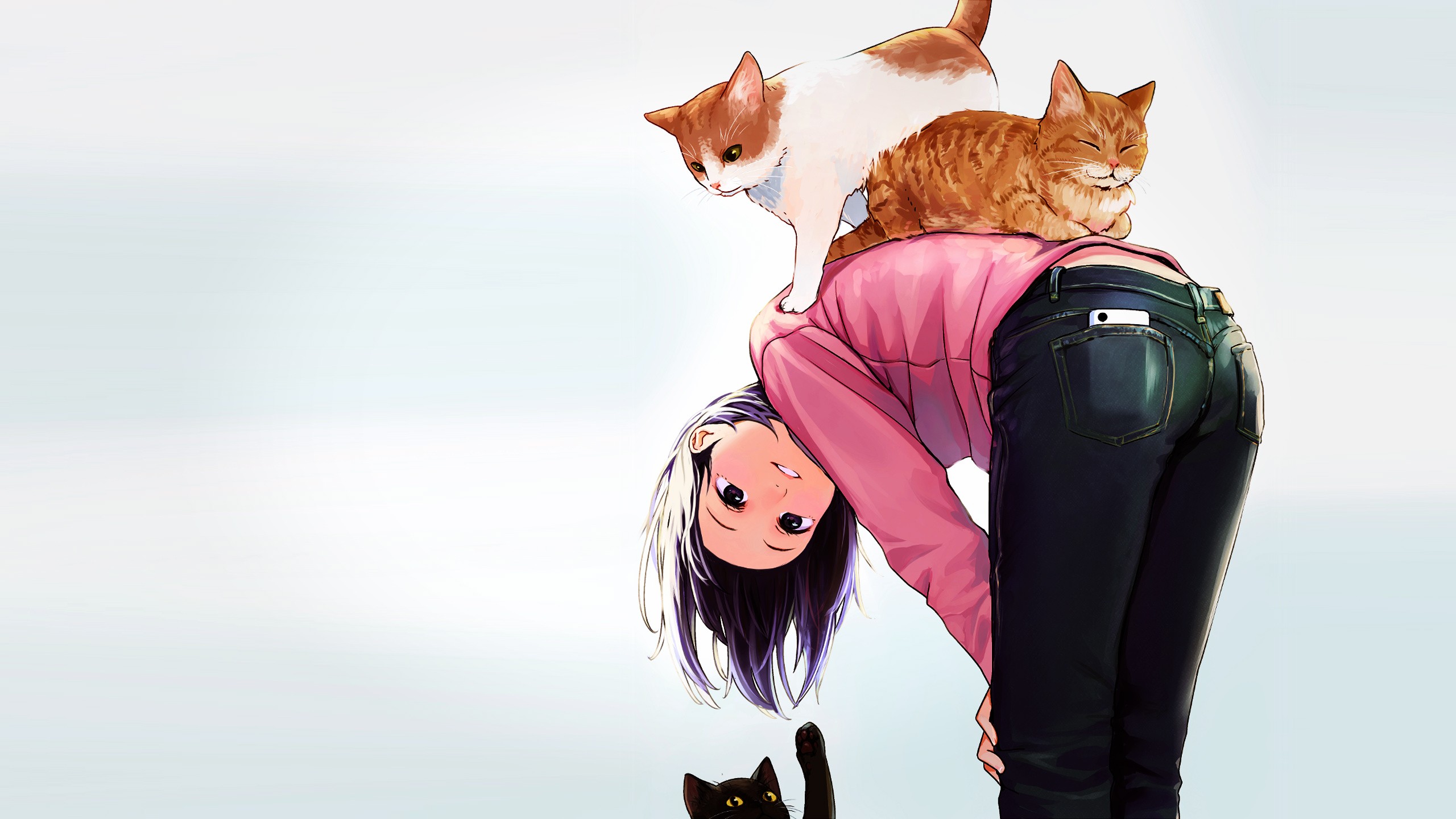 anime, girl, cat, jeans, phone