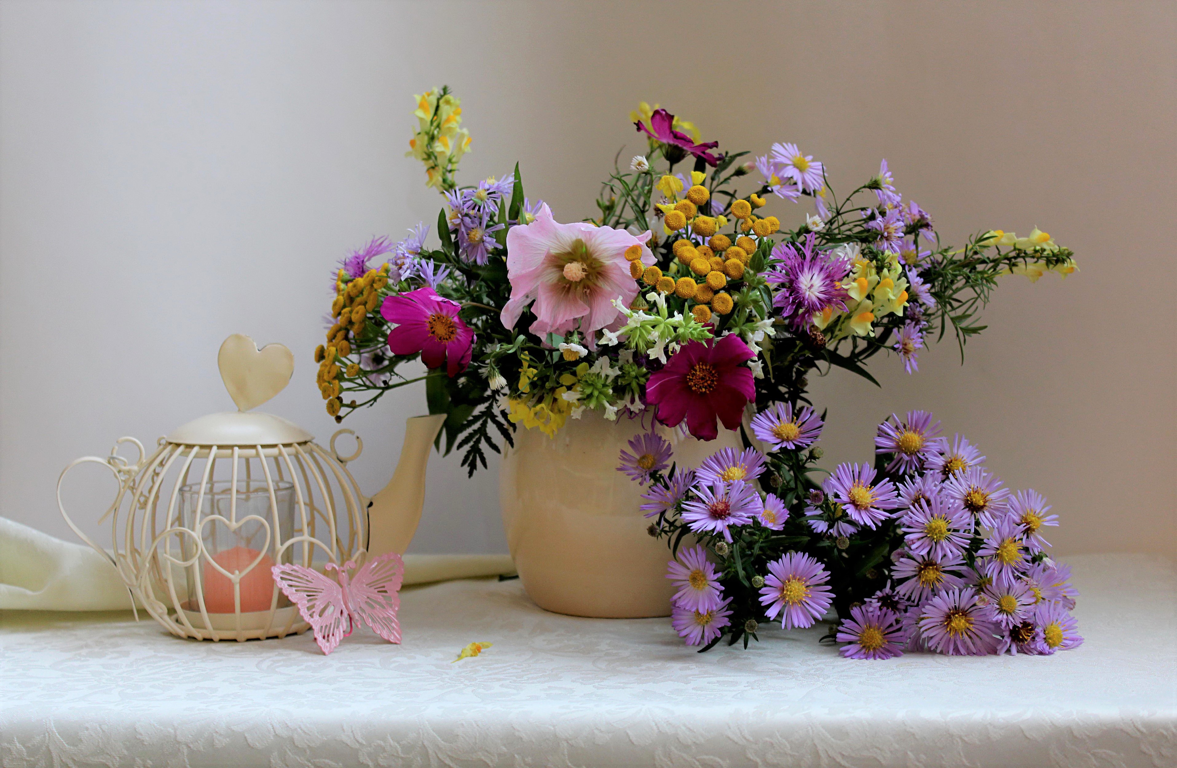 photography, still life, bouquet, butterfly, flower, kettle 2160p