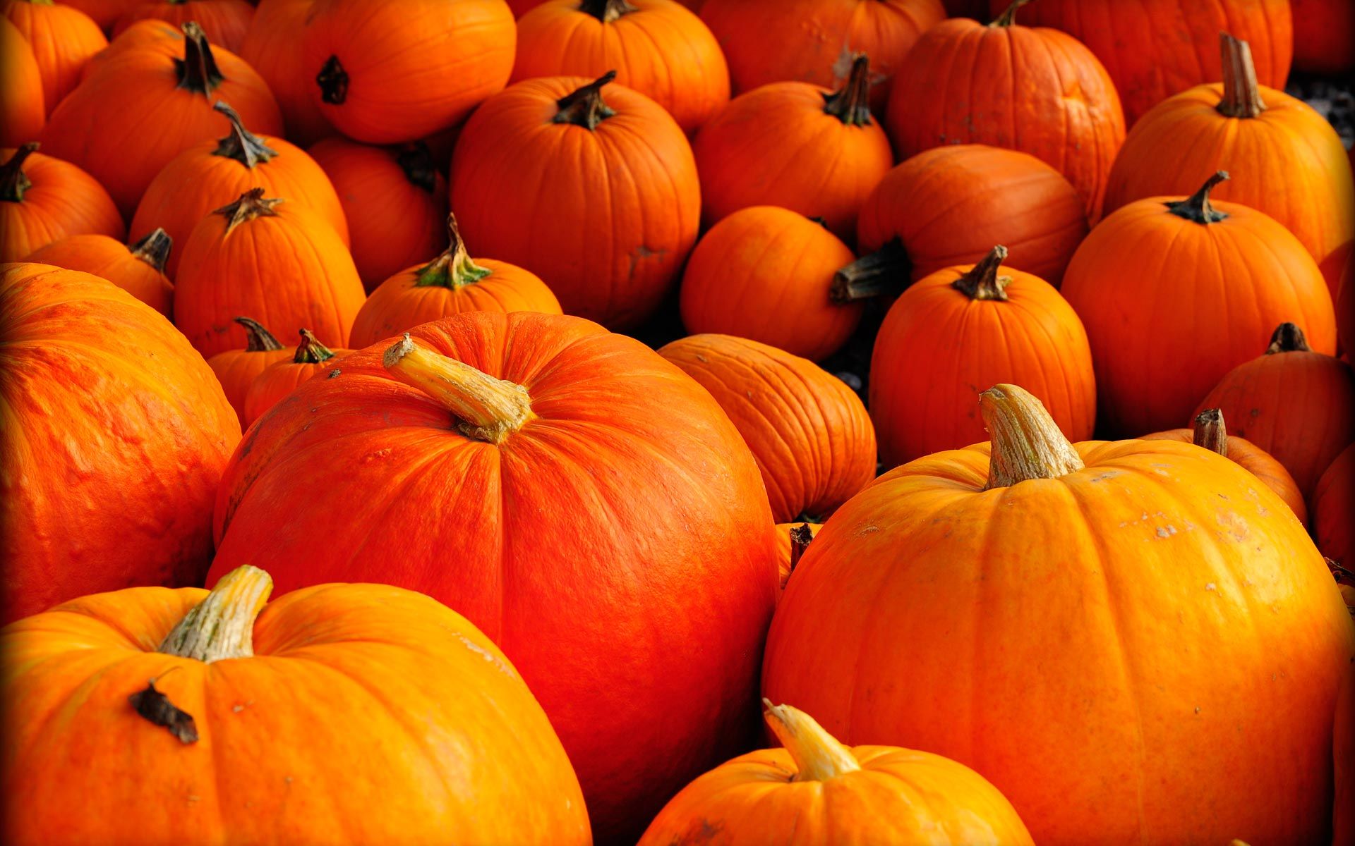 PCデスクトップにかぼちゃ, 食べ物, オレンジ色）画像を無料でダウンロード