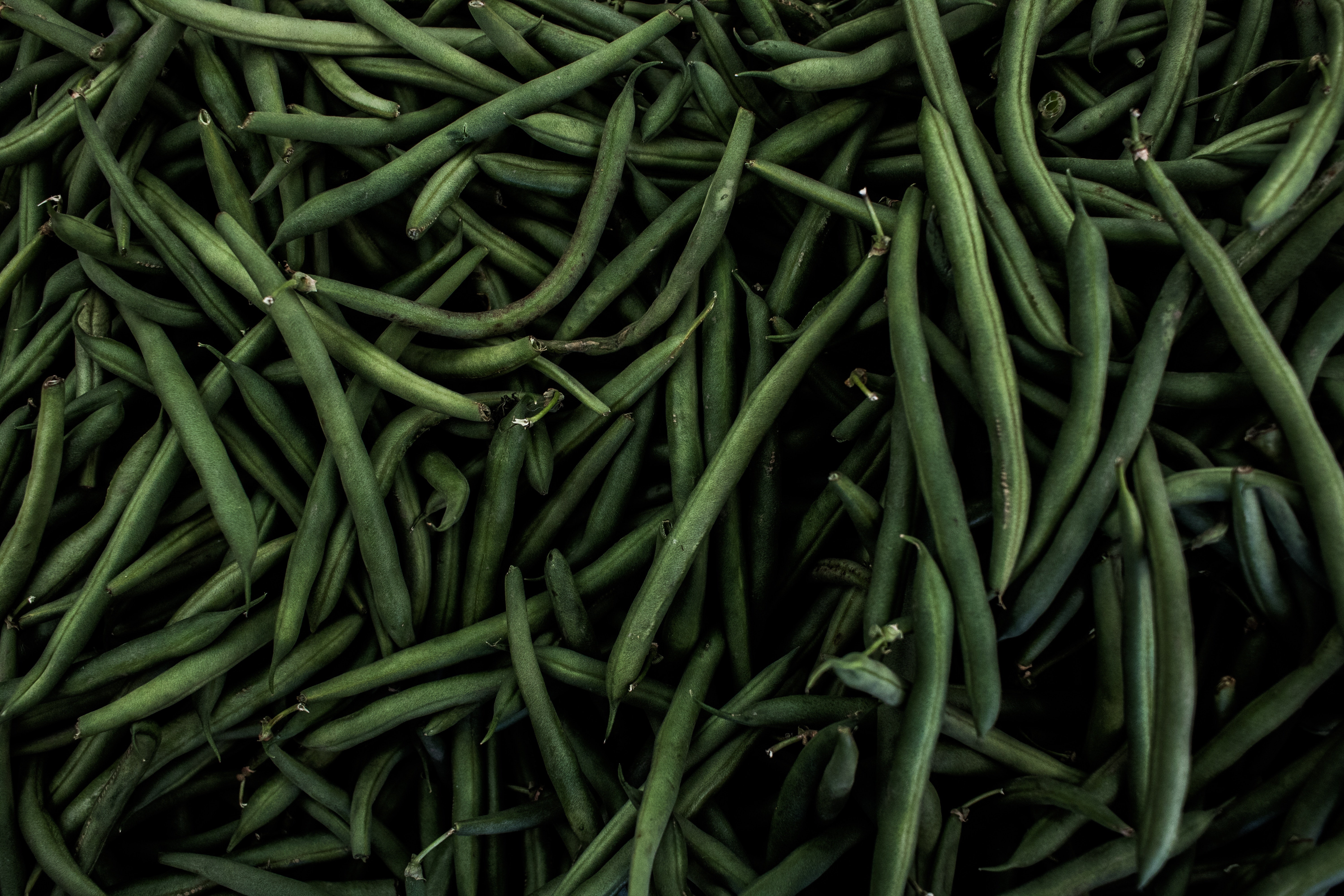 green, food, beans, bean, pods