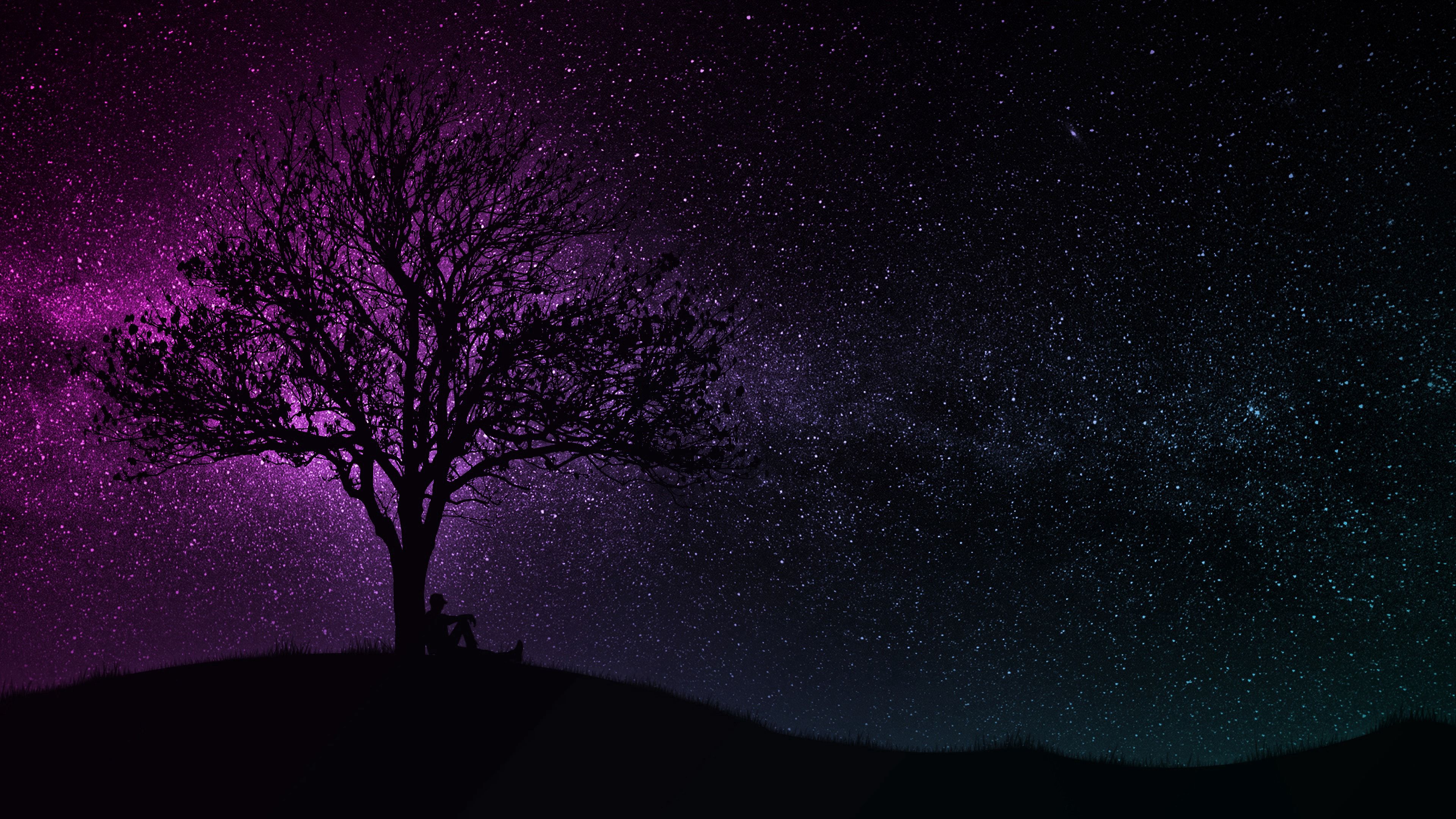 55905 скачать картинку арт, звездное небо, силуэт, дерево, темный - обои и заставки бесплатно