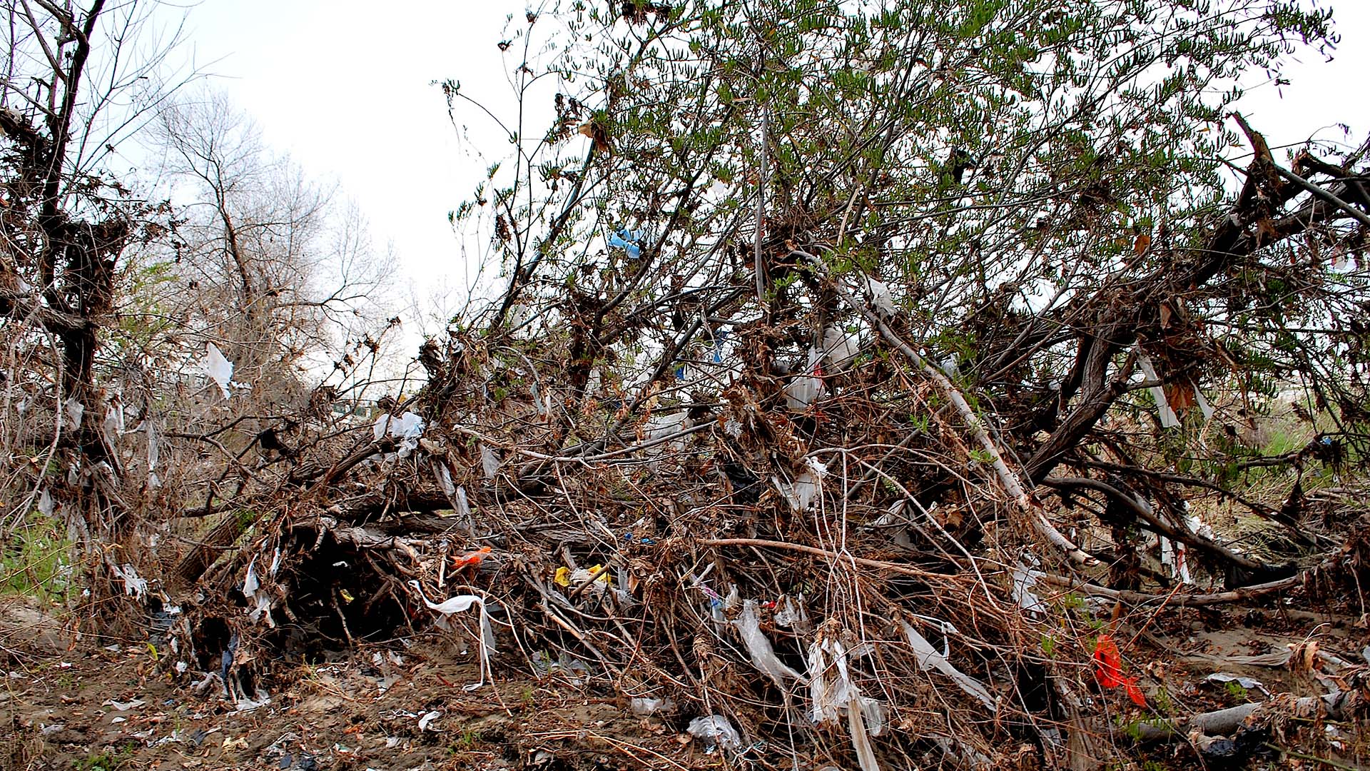 お使いの携帯電話の1502547スクリーンセーバーと壁紙プラスチックの楽園: 太平洋の大きなゴミ地帯。 の写真を無料でダウンロード