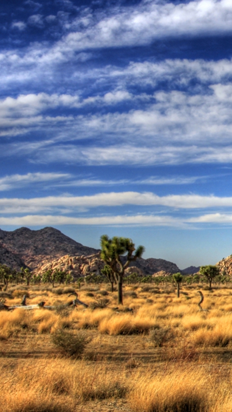 Download mobile wallpaper Earth, National Park, Joshua Tree National Park for free.