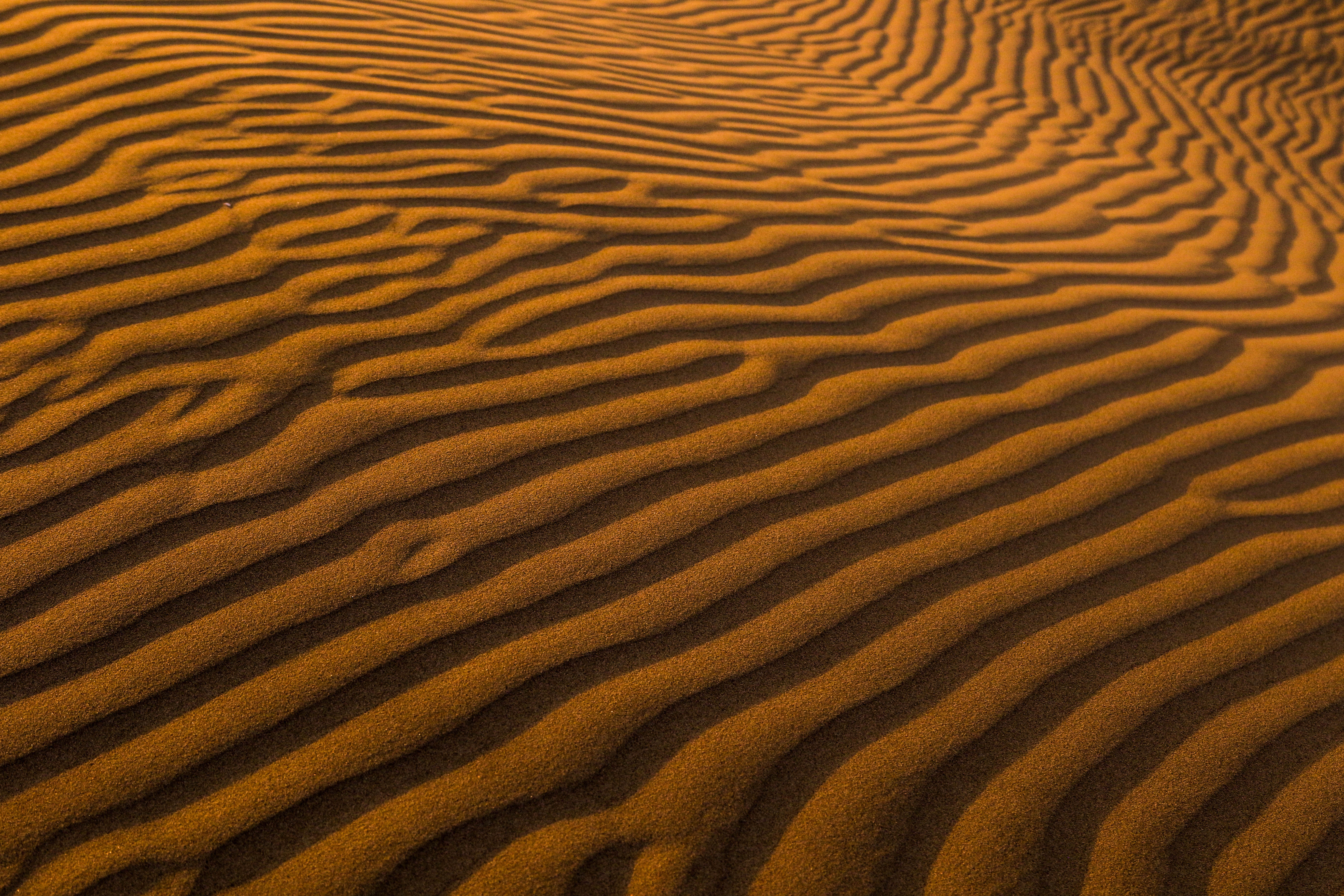 sand, desert, nature, surface