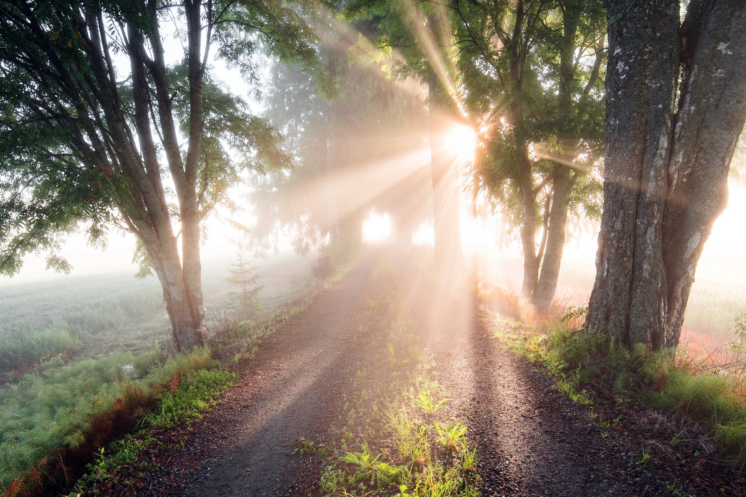 Handy-Wallpaper Natur, Sonnenstrahl, Erde/natur, Schotterstraße kostenlos herunterladen.