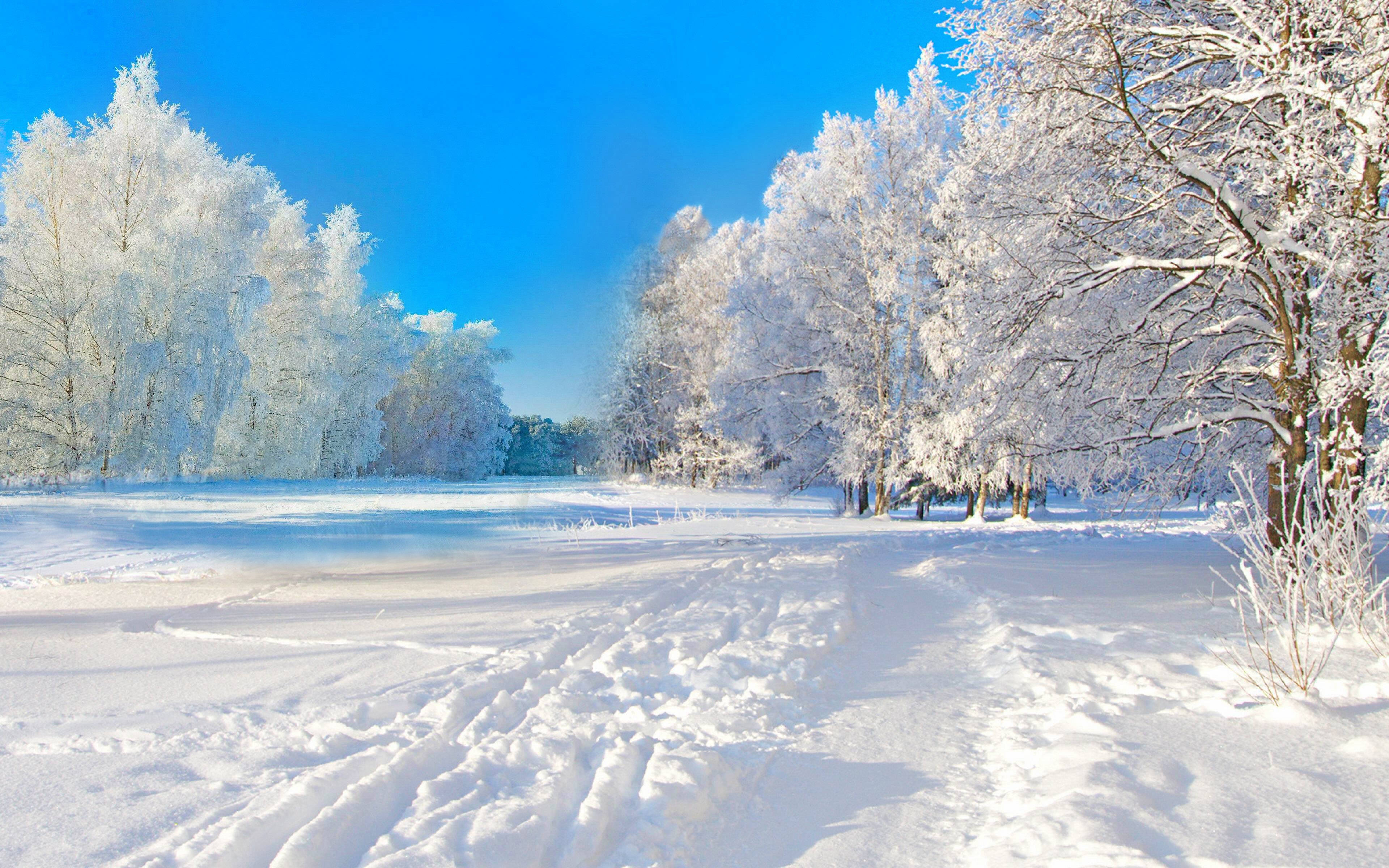 1494300壁紙のダウンロード青い, 冬, 雪, 木, 地球, 風光明媚な-スクリーンセーバーと写真を無料で