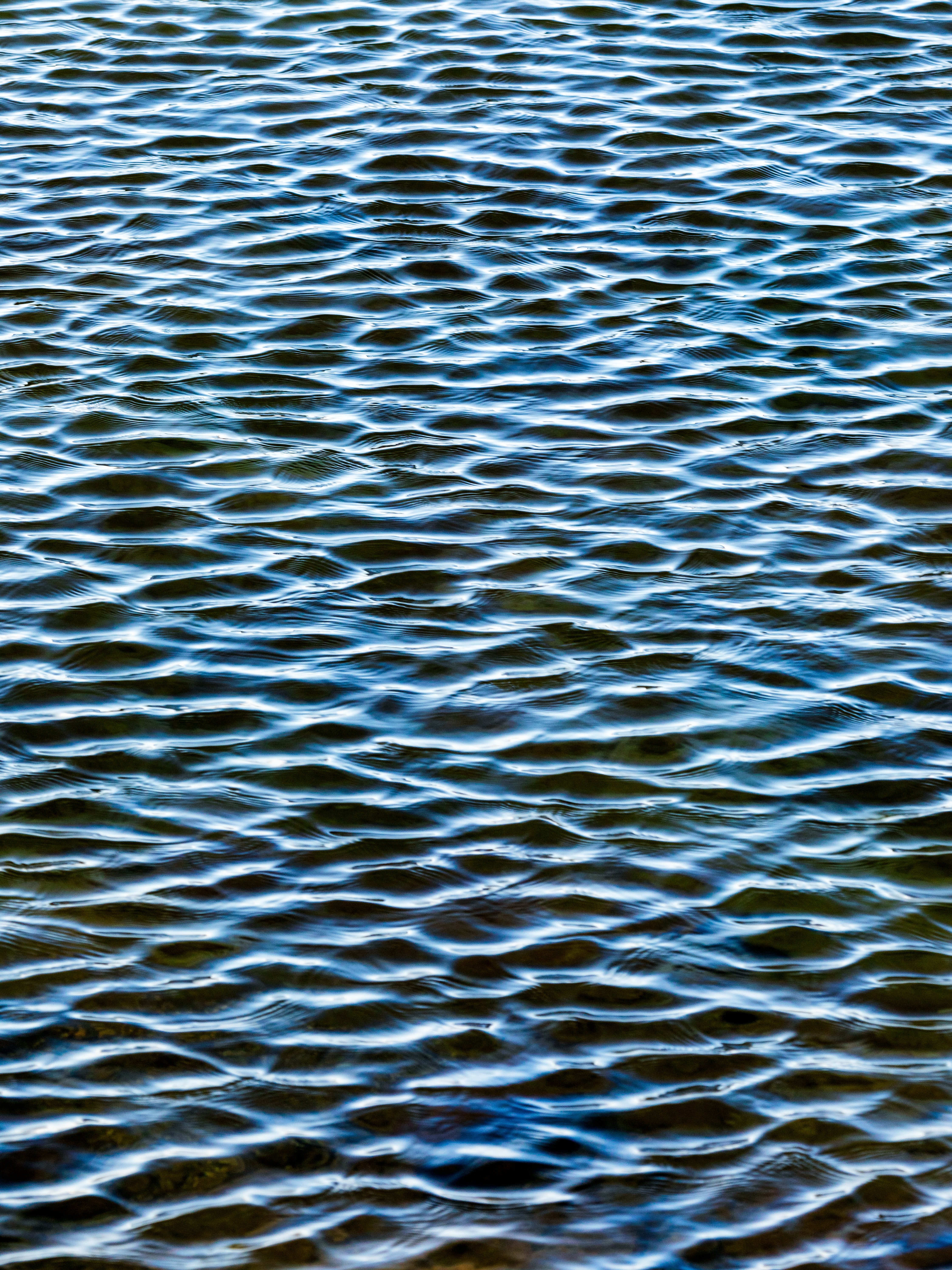 nature, water, glare, ripples, ripple, overflow, overflows, smooth water