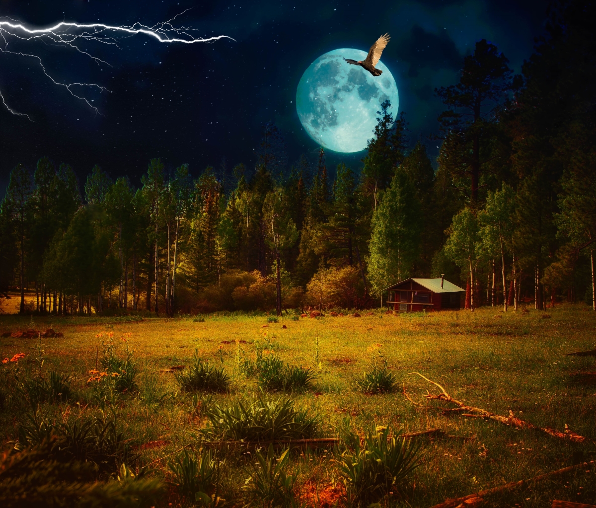Free download wallpaper Landscape, Fantasy, Night, Moon, Lightning, Bird, Artistic, Cabin on your PC desktop