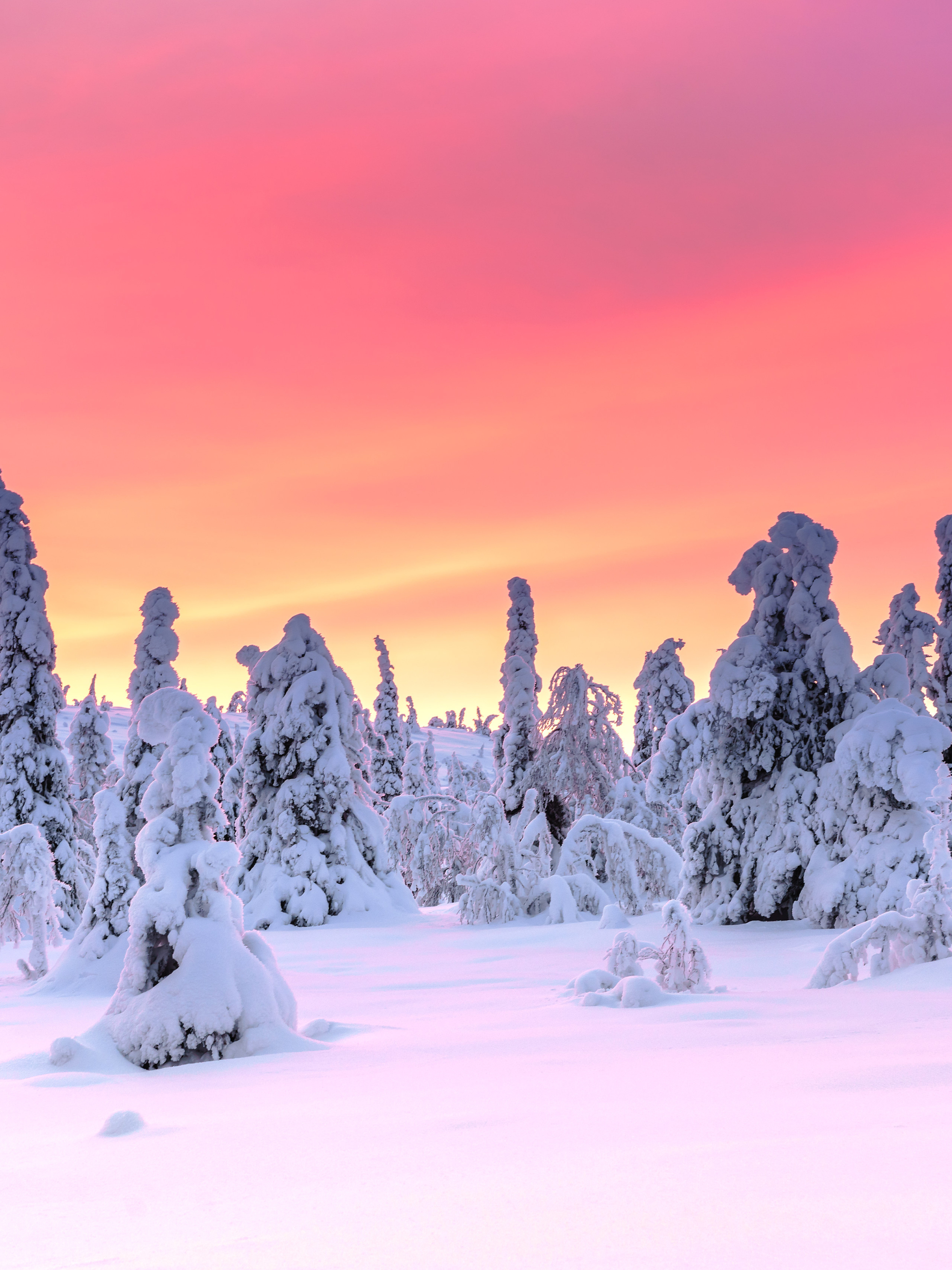 Скачать картинку Зима, Закат, Снег, Земля/природа, Закат Солнца в телефон бесплатно.