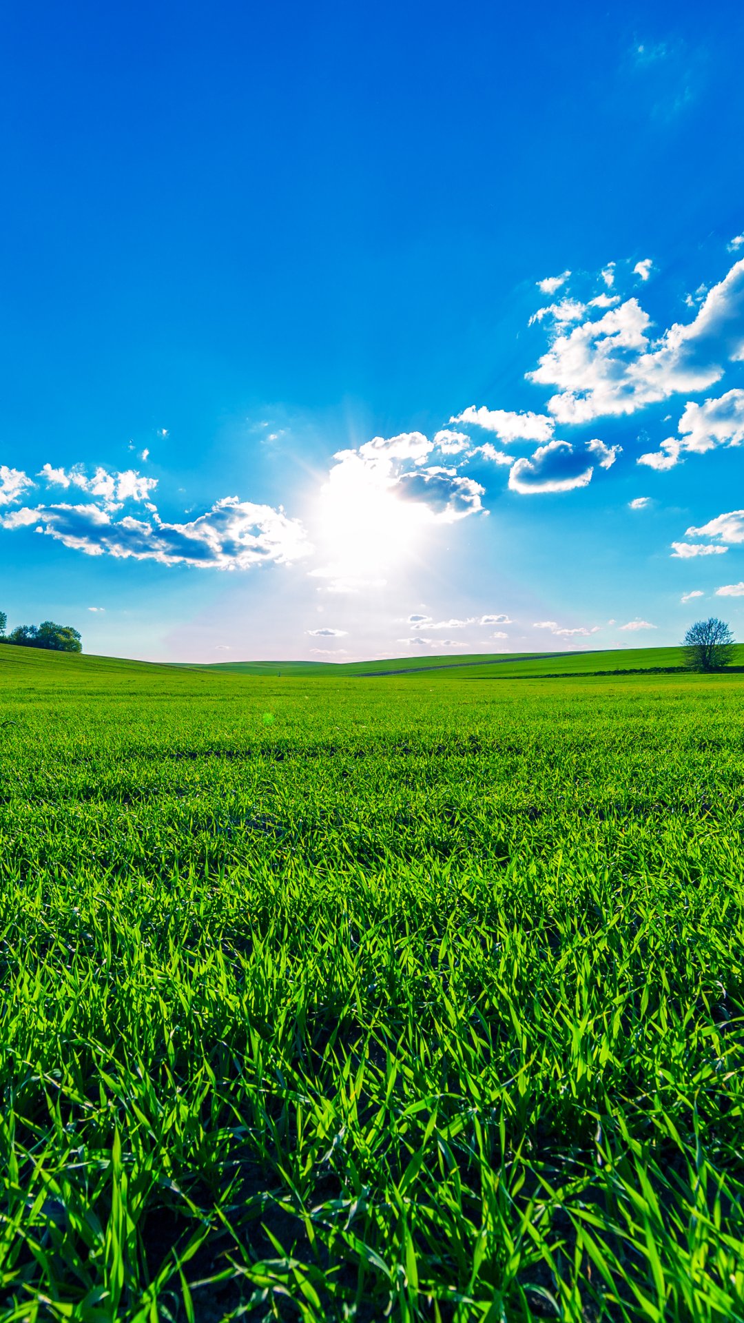 Download mobile wallpaper Landscape, Nature, Grass, Sky, Sun, Earth, Field, Cloud for free.