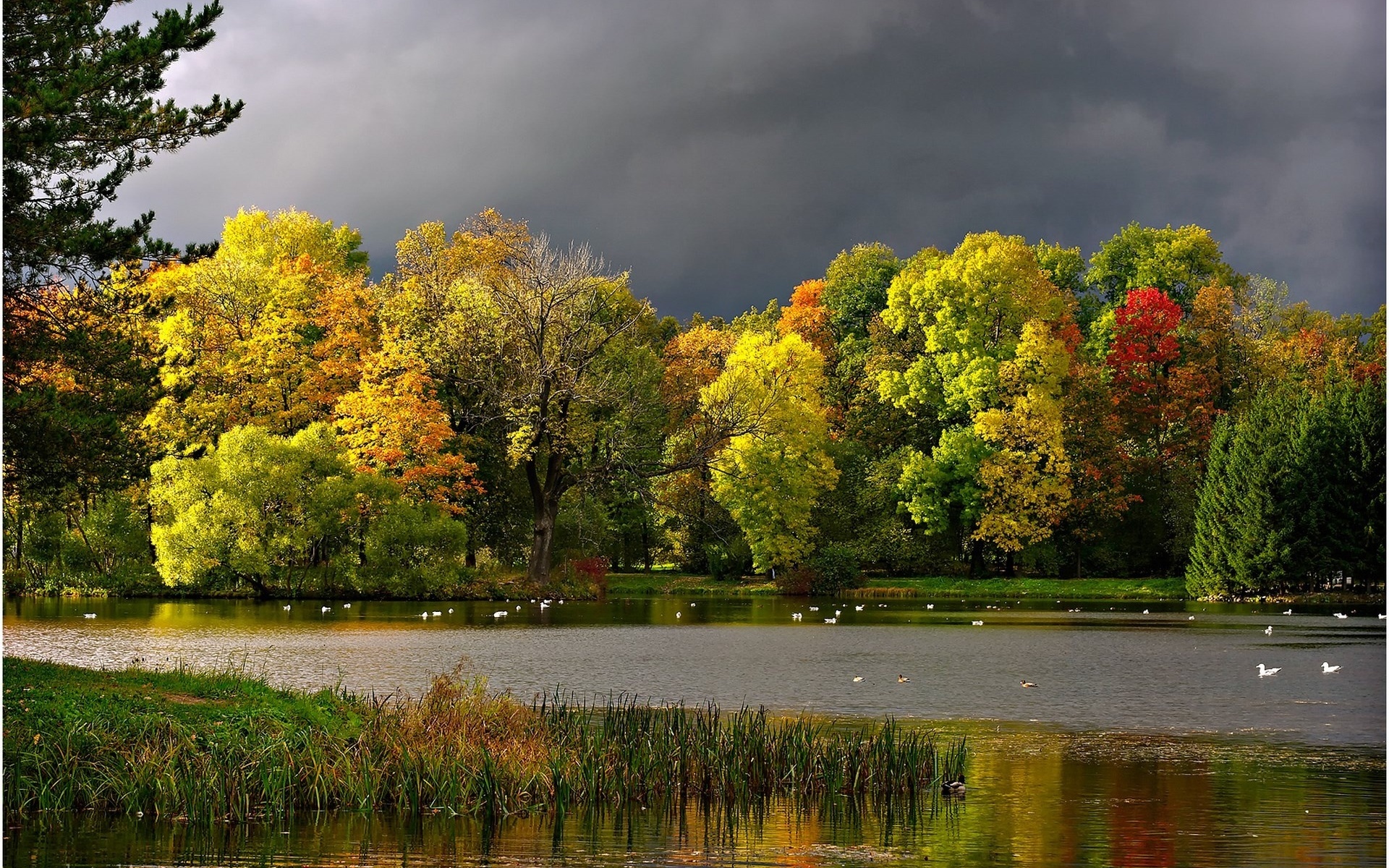 Laden Sie das Landschaft, Bäume, Flüsse, Herbst-Bild kostenlos auf Ihren PC-Desktop herunter
