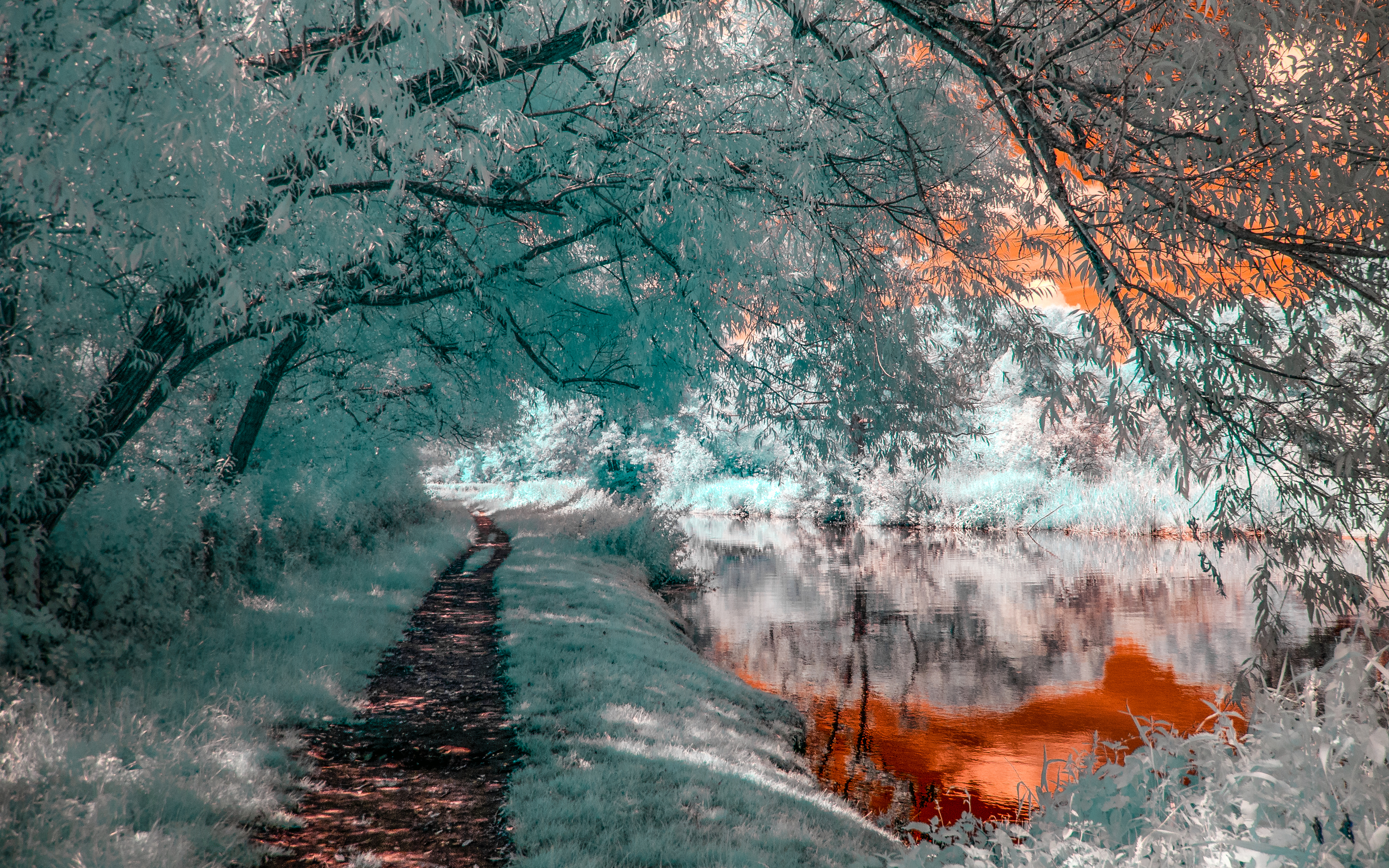 Free download wallpaper Nature, Water, Reflection, Tree, Earth, Path, River on your PC desktop