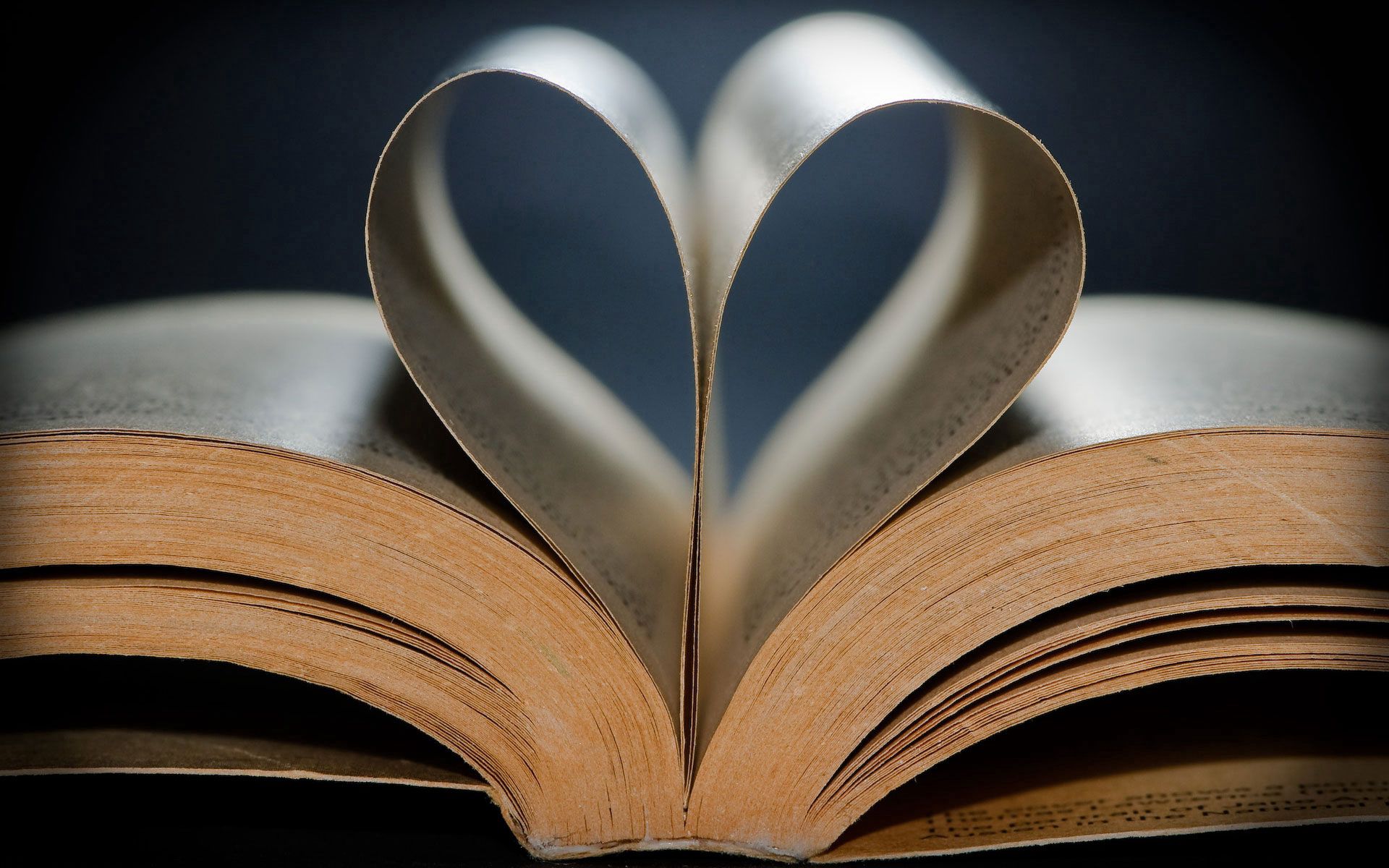 Laden Sie das Blätter, Buch, Papier, Herzen, Liebe, Ein Herz-Bild kostenlos auf Ihren PC-Desktop herunter