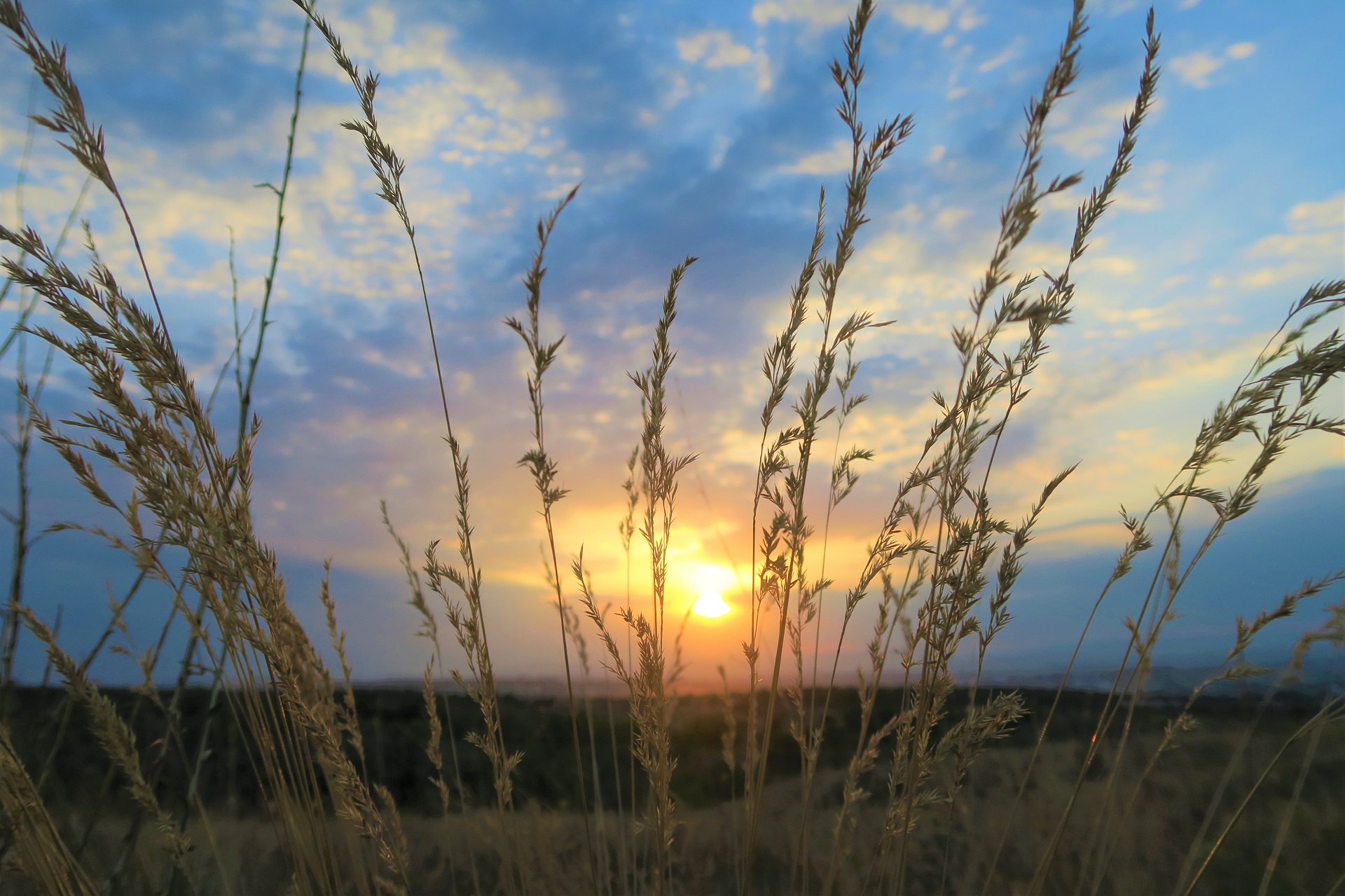 Descarga gratuita de fondo de pantalla para móvil de Naturaleza, Atardecer, Tierra/naturaleza.