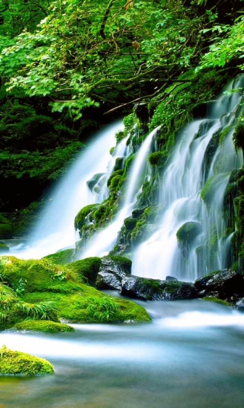 無料モバイル壁紙自然, 滝, 森, 地球をダウンロードします。