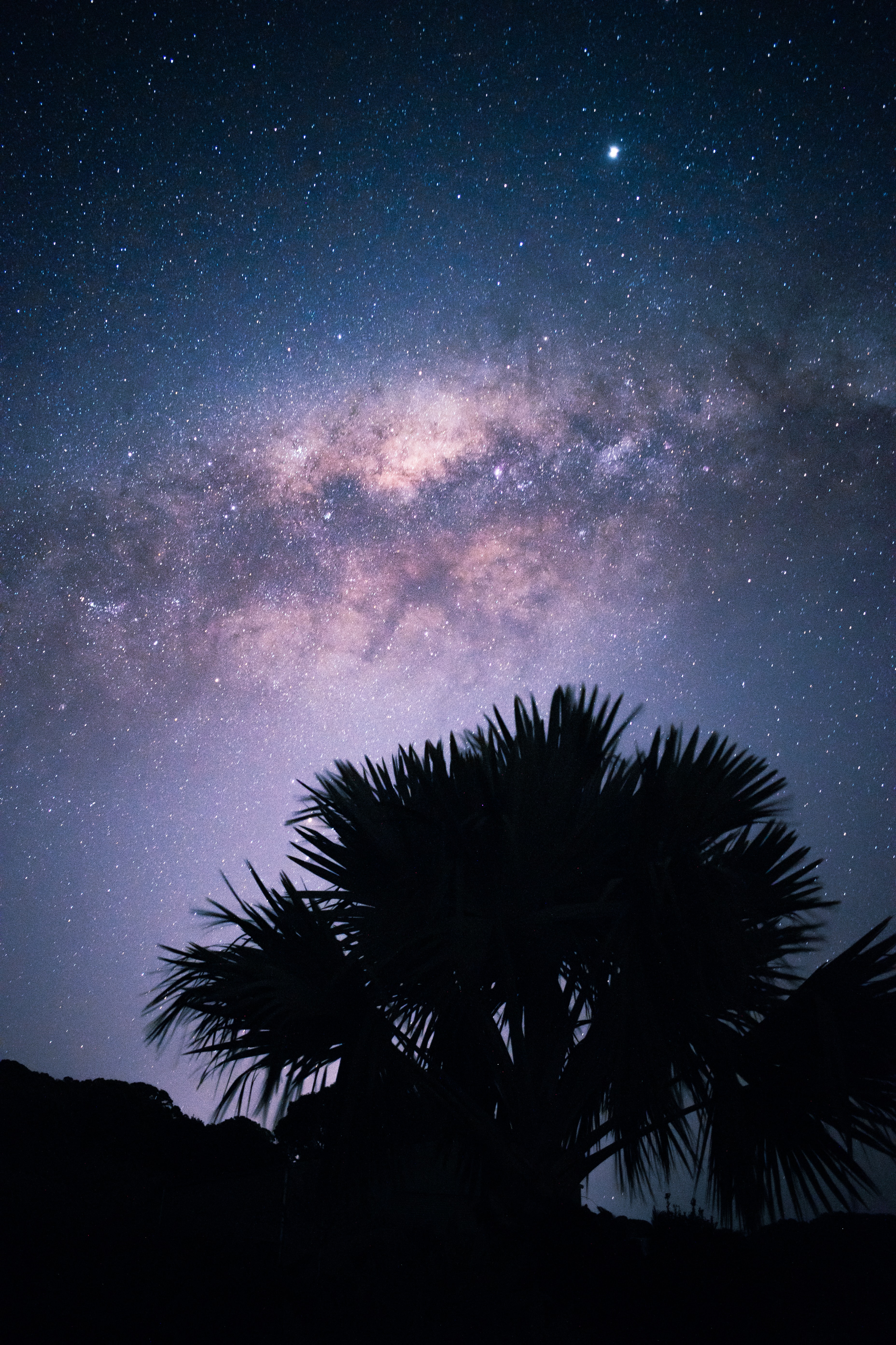 Download mobile wallpaper Nature, Palms, Stars, Starry Sky, Night, Nebula, Silhouette for free.