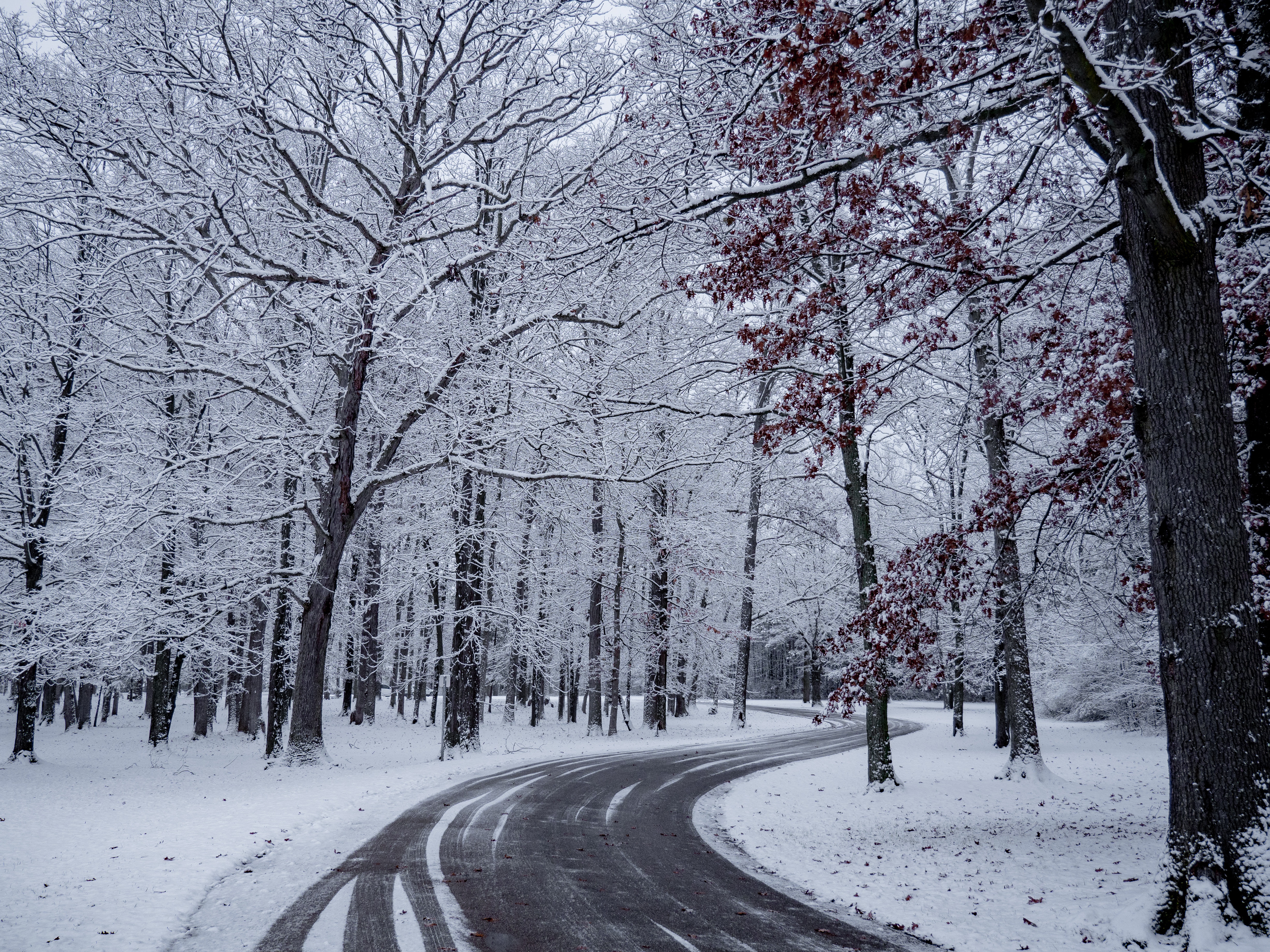 Free download wallpaper Winter, Trees, Snow, Road, Nature, Turn on your PC desktop