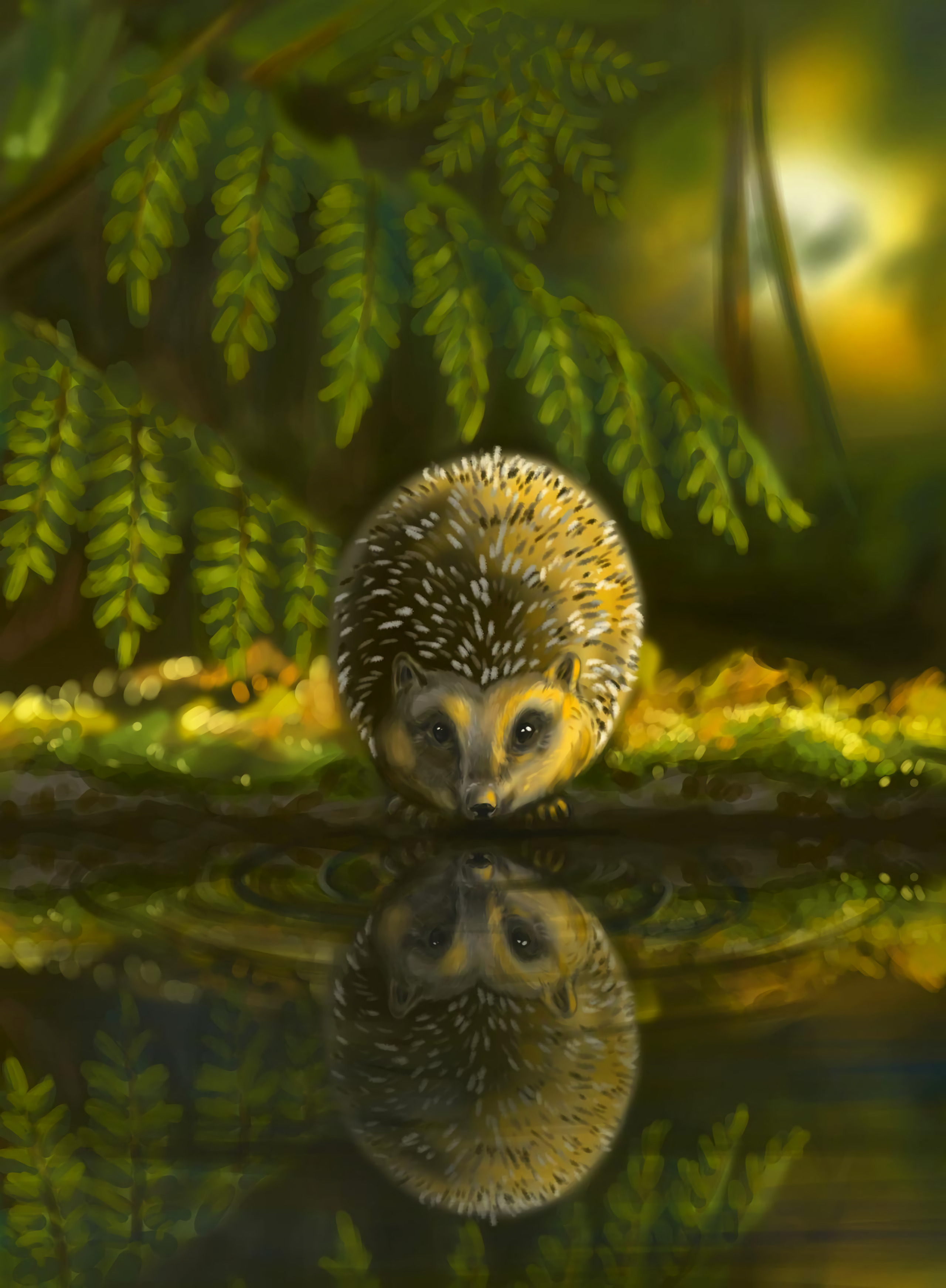 Free download wallpaper Animal, Nice, Sweetheart, Hedgehog, Art on your PC desktop