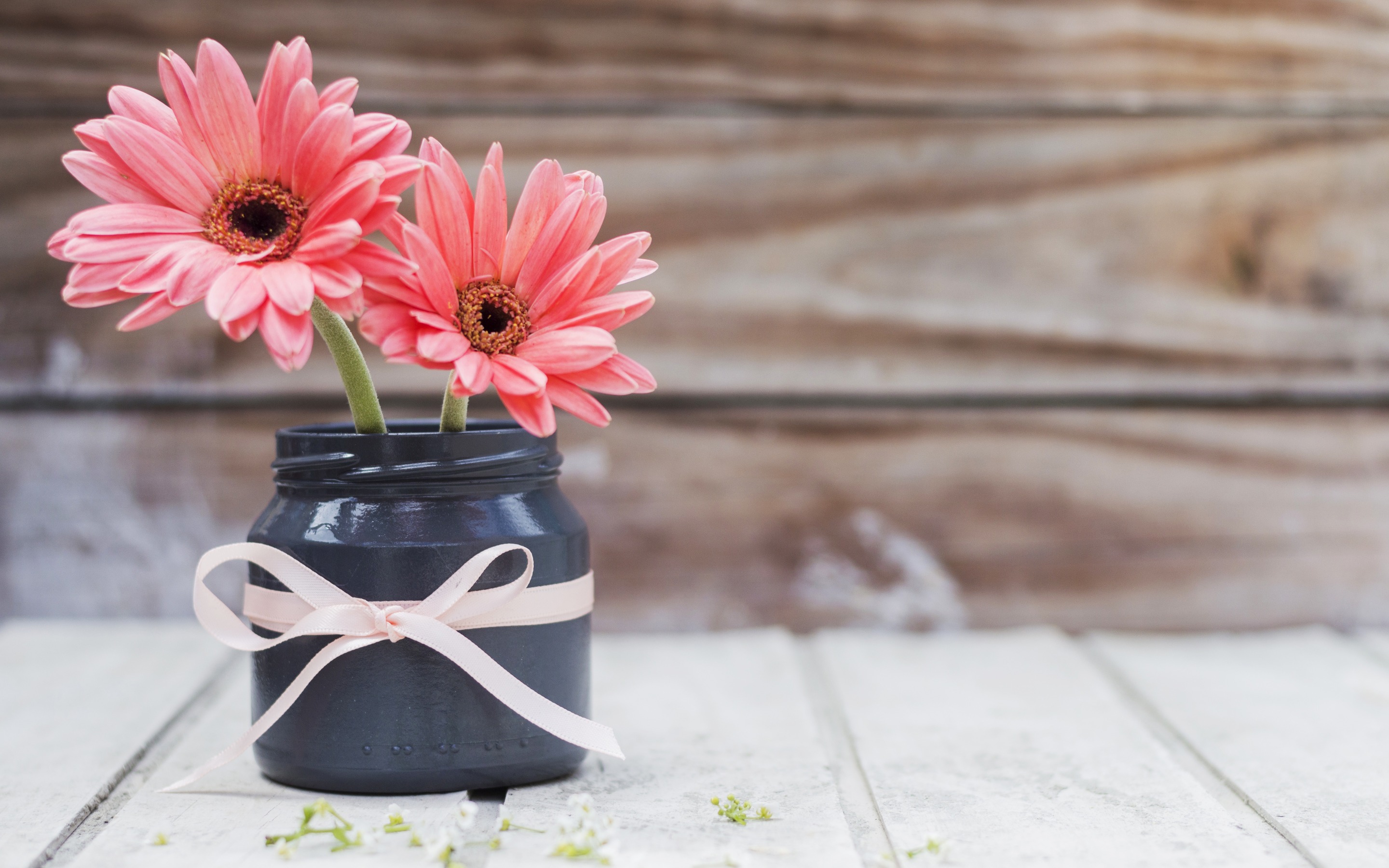 Download mobile wallpaper Flower, Vase, Gerbera, Man Made for free.