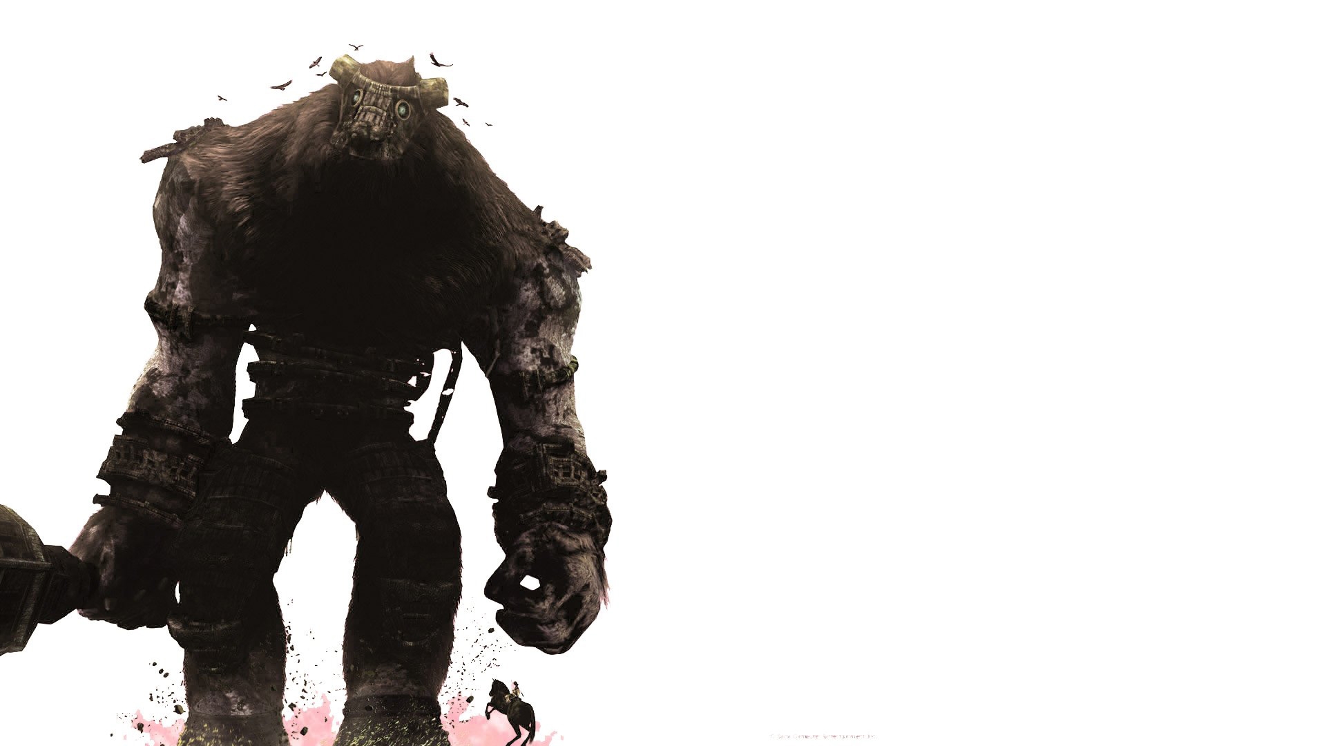 Free download wallpaper Video Game, Shadow Of The Colossus on your PC desktop