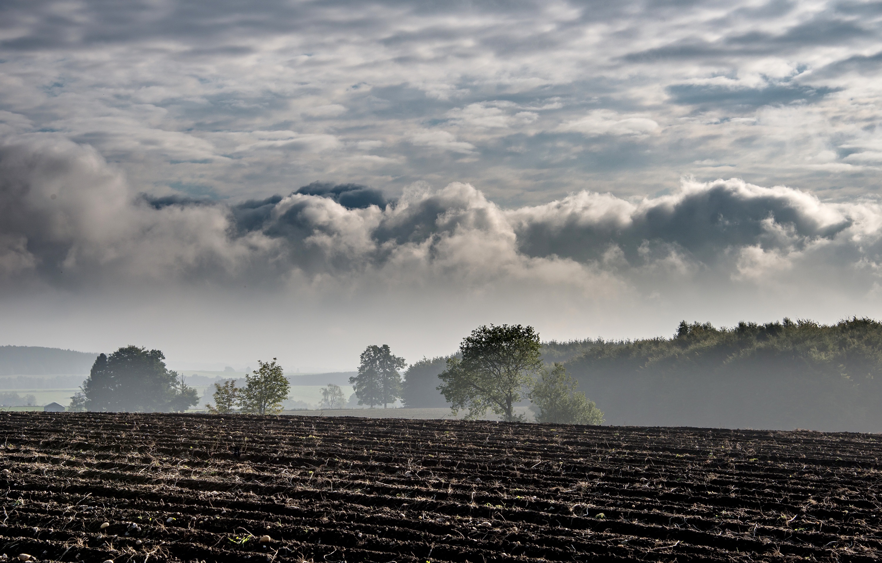 Free download wallpaper Nature, Earth, Field, Cloud on your PC desktop