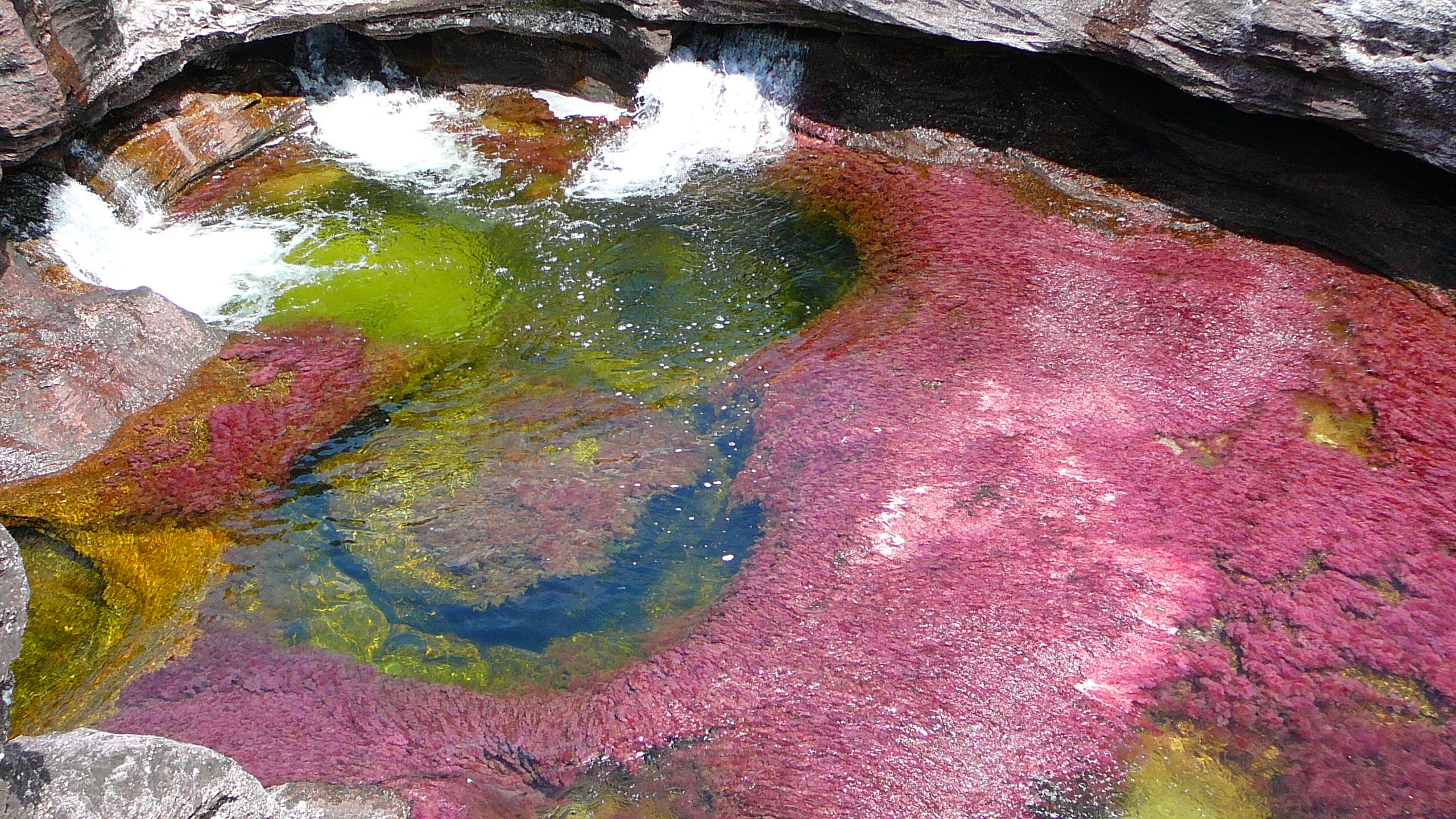 642373 télécharger l'image terre/nature, caño cristales - fonds d'écran et économiseurs d'écran gratuits