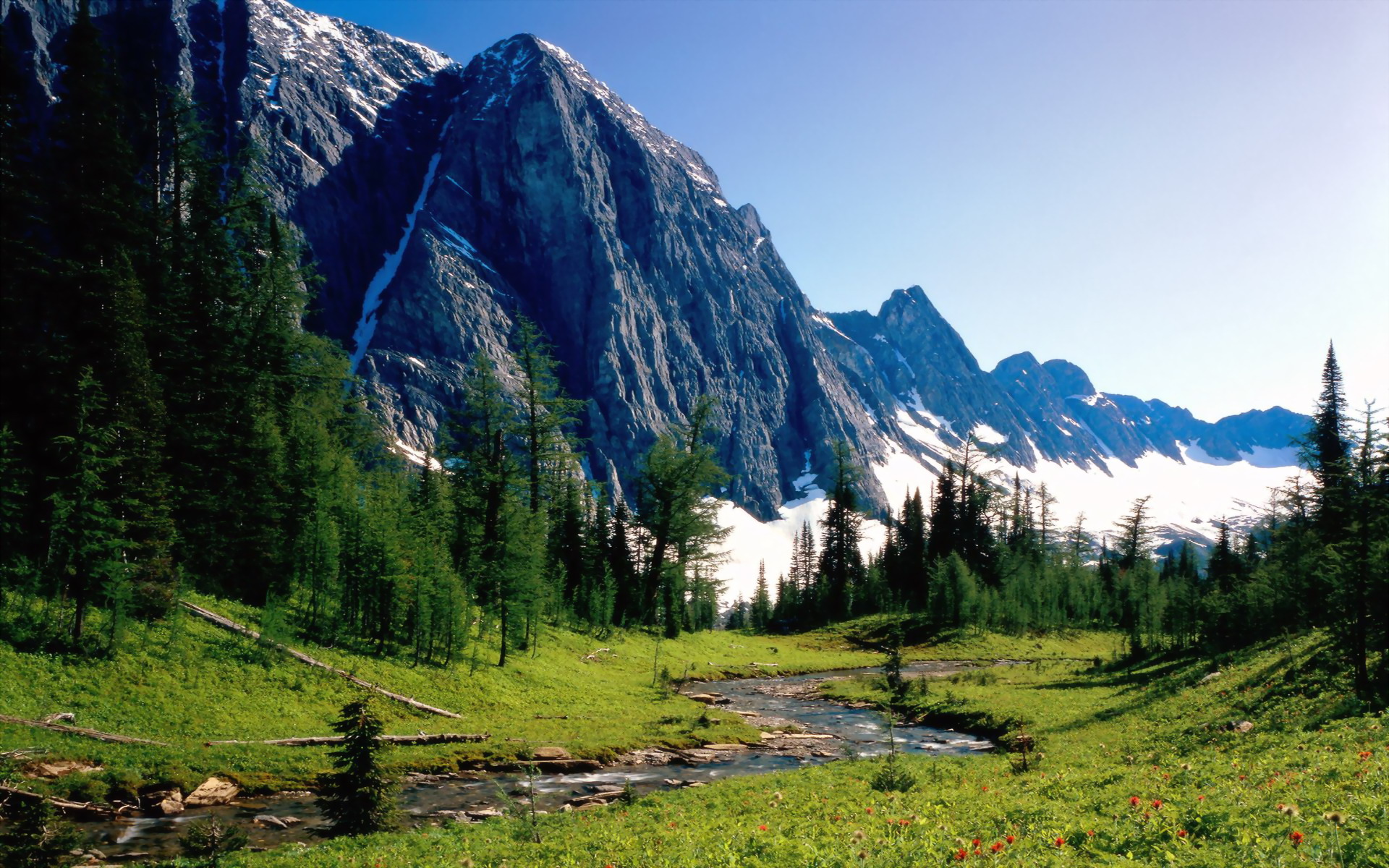 grass, nature, earth, landscape, canada, mountain, scenic, snow, stream, tree, water 1080p