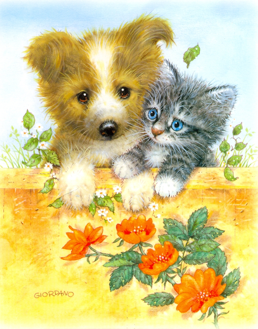 pictures, animals, cats, dogs, yellow for android