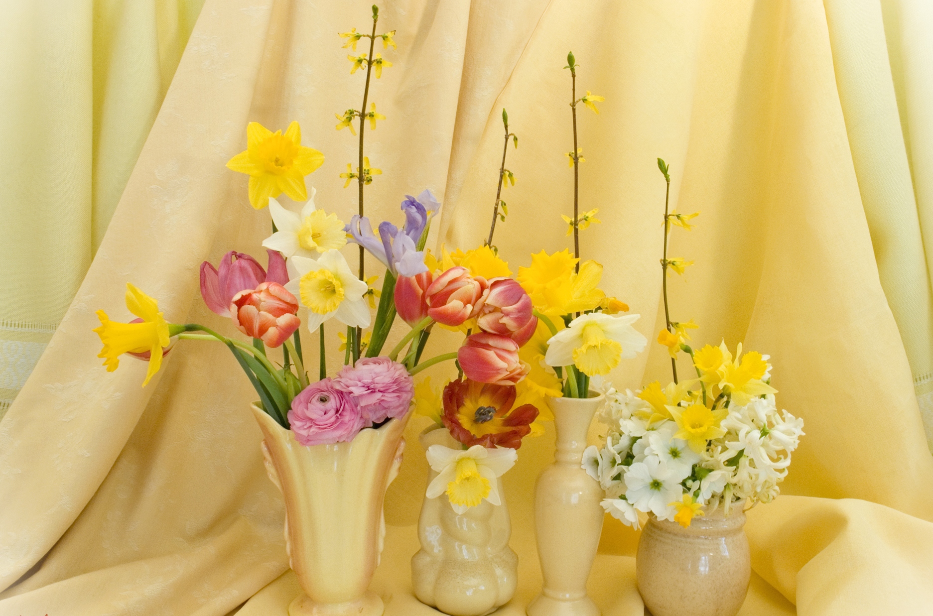 Handy-Wallpaper Blume, Farben, Vase, Bunt, Fotografie, Stillleben kostenlos herunterladen.