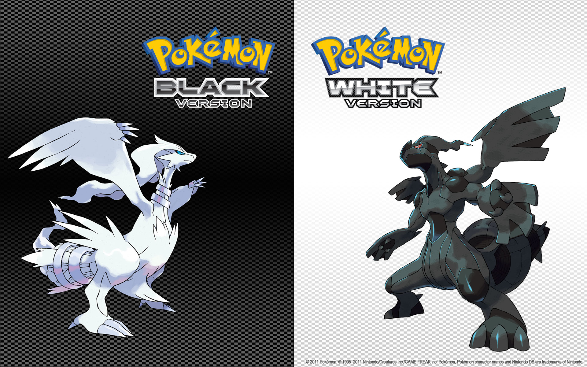 video game, pokemon: black and white, legendary pokémon, reshiram (pokémon), zekrom (pokemon), pokémon