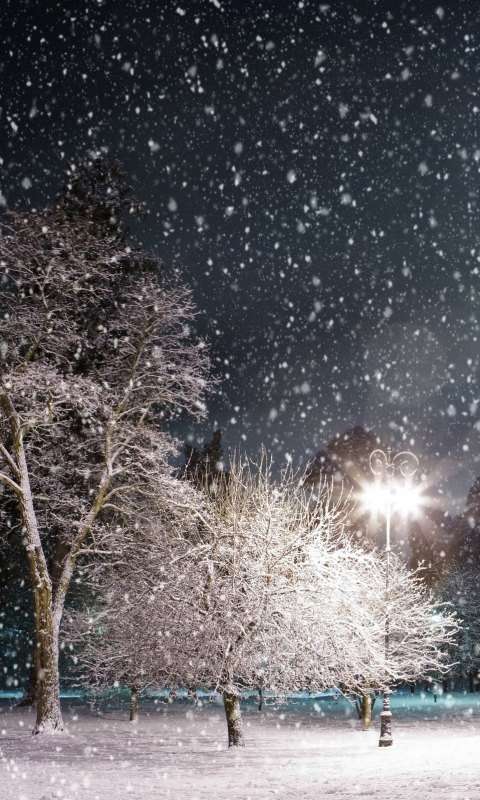 Handy-Wallpaper Winter, Schnee, Licht, Park, Baum, Erde, Fotografie, Schneefall, Nacht kostenlos herunterladen.