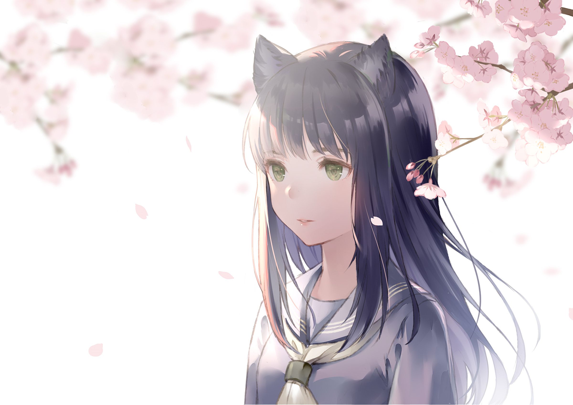 Free download wallpaper Anime, Green Eyes, Cherry Blossom, Original, Long Hair, Cat Girl on your PC desktop