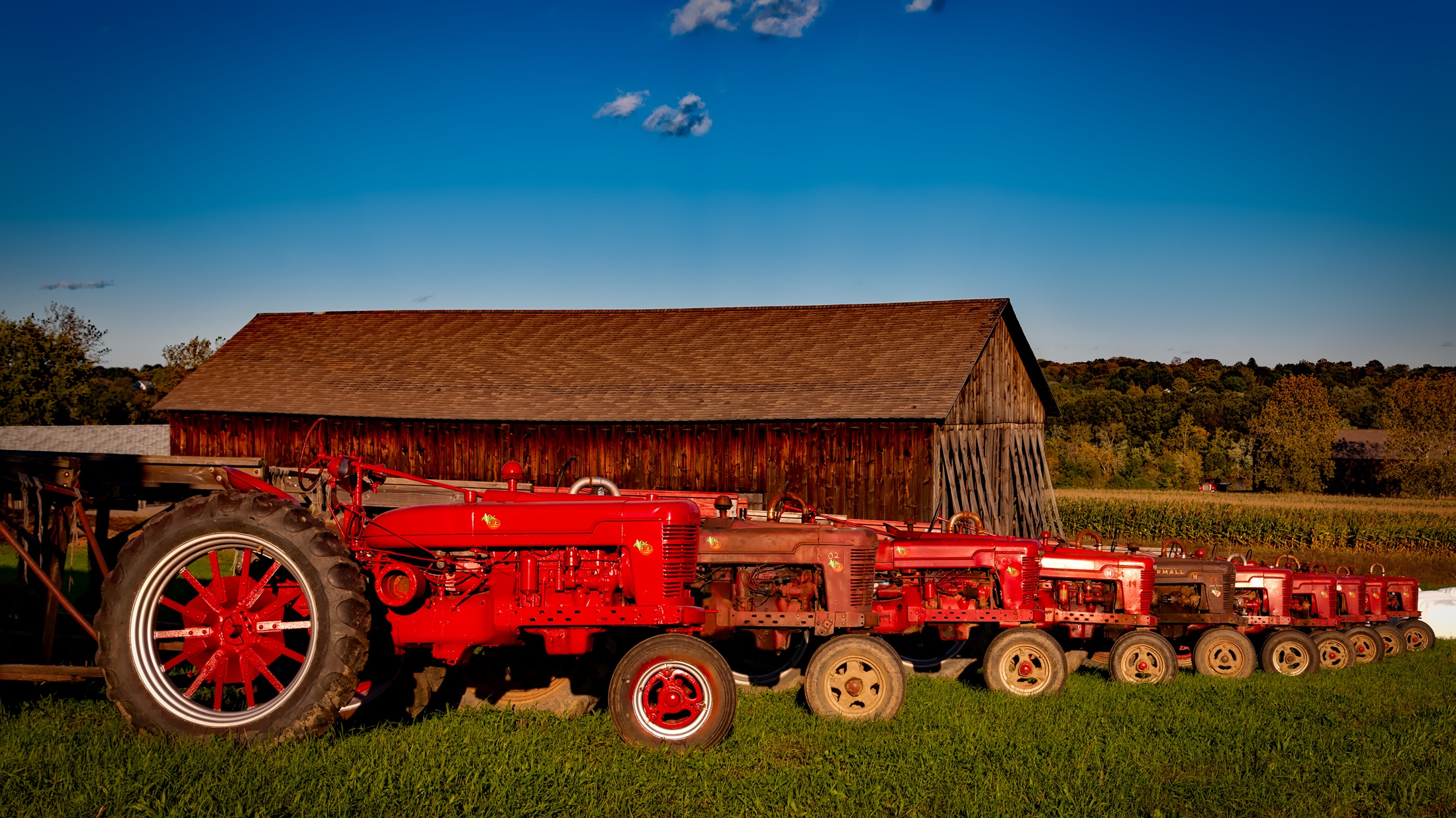 barn, vintage, vehicles, farmall tractor, old, tractor, tractors