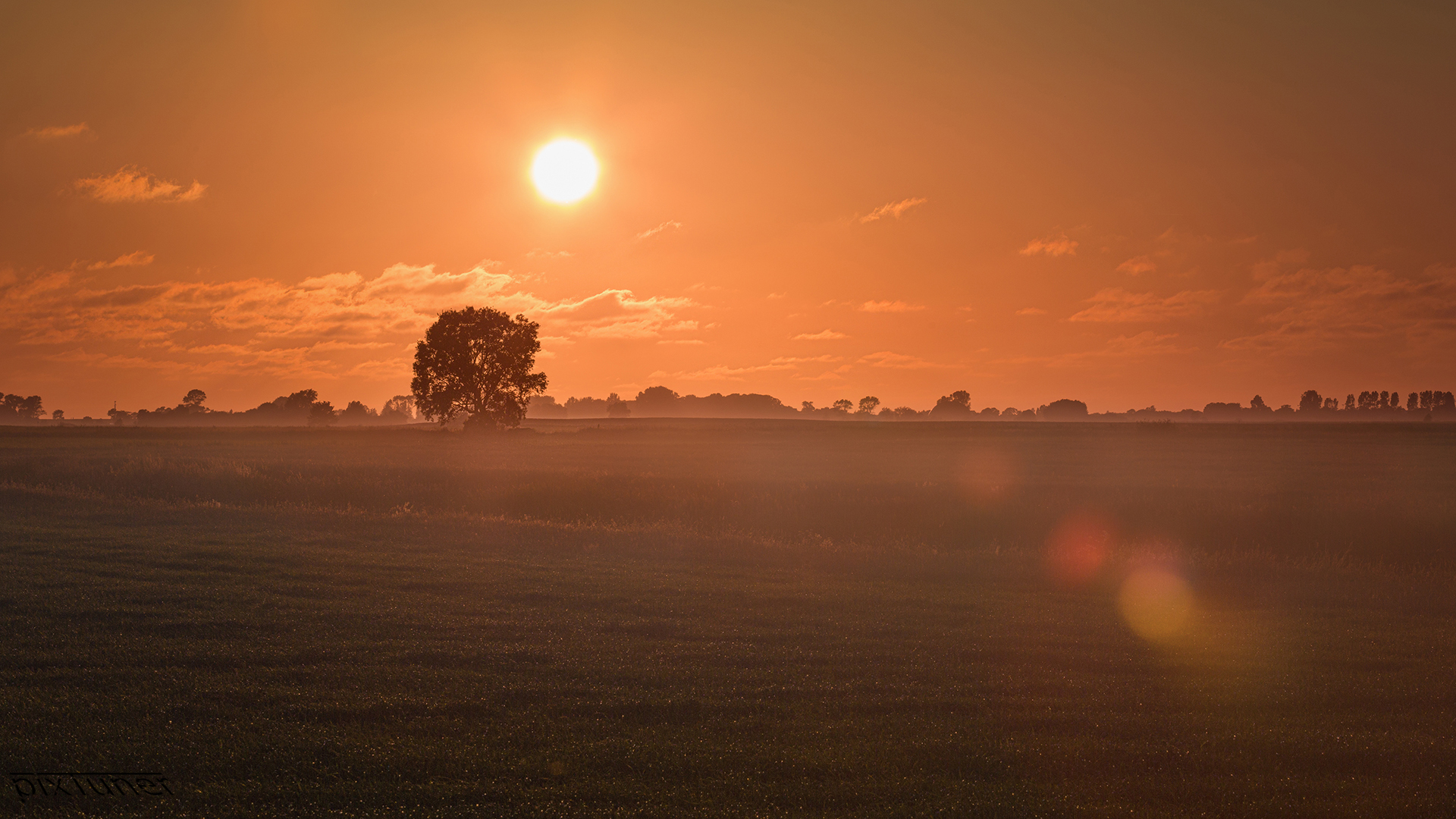 Free download wallpaper Landscape, Nature, Sunset, Earth, Field, Lonely Tree on your PC desktop