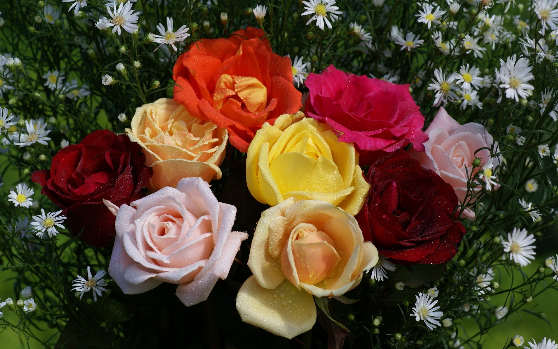 1920x1080 Background bouquet, flowers, earth, rose, flower