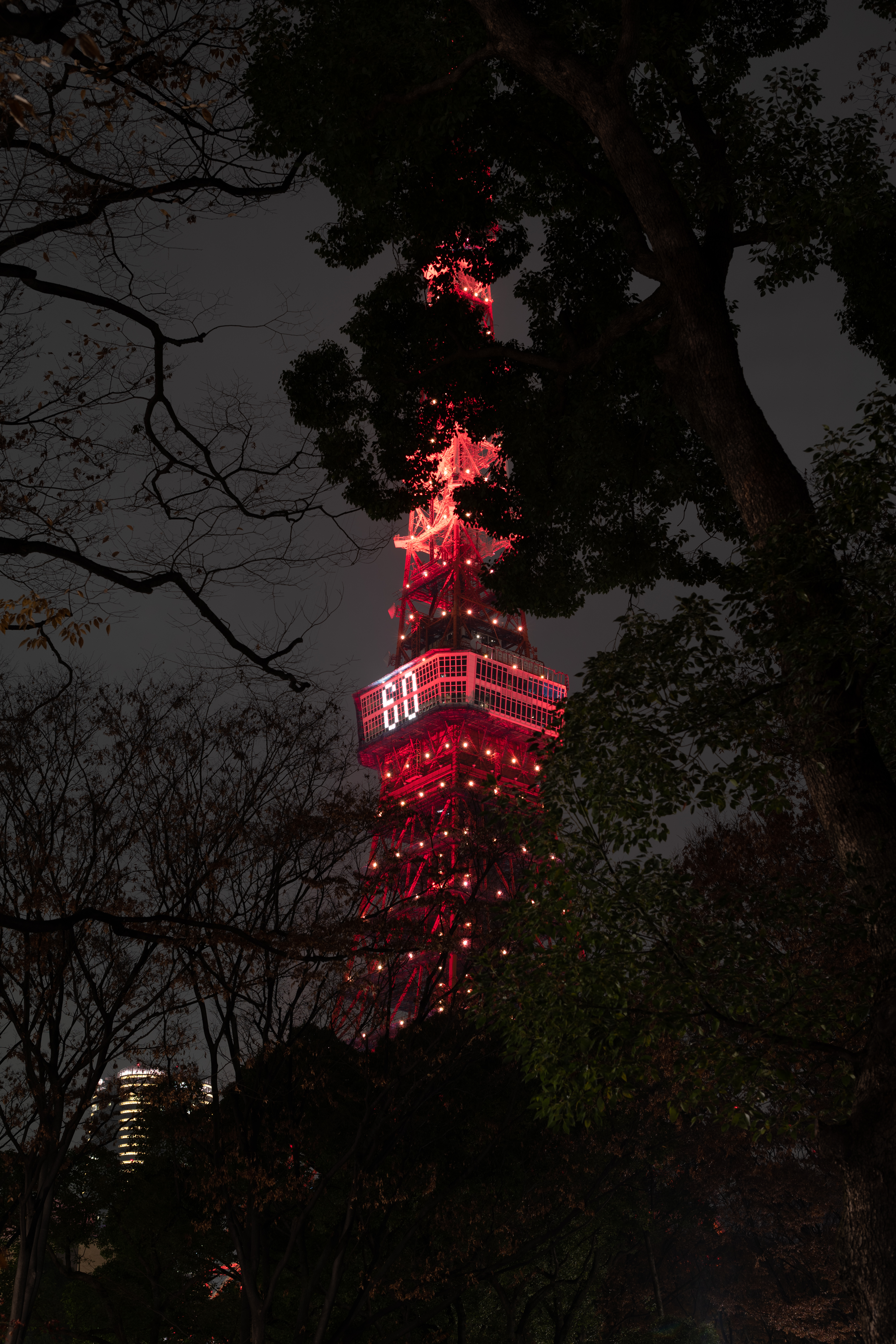 japan, backlight, tokyo, cities, night, branches, illumination, tower HD wallpaper