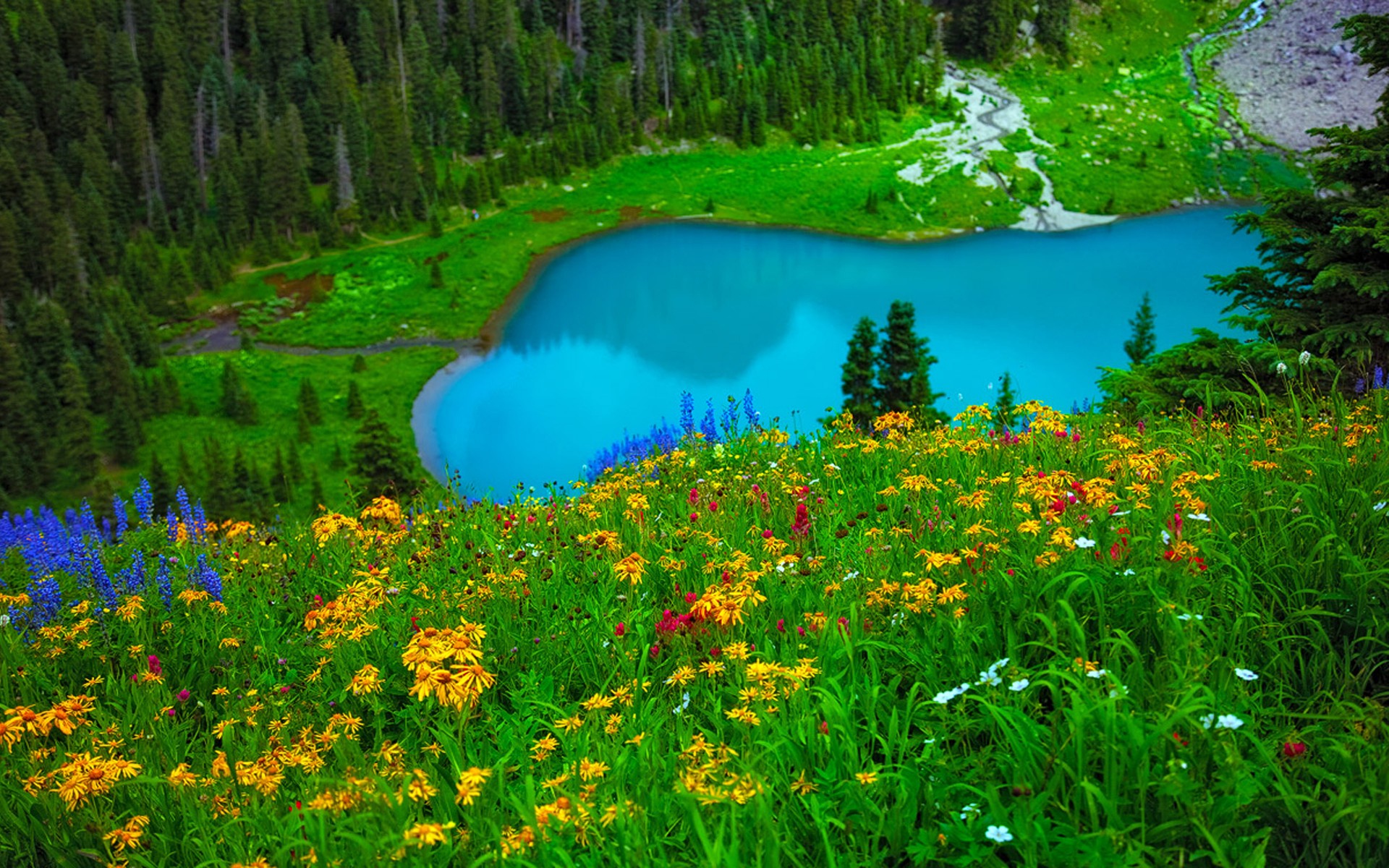 Download mobile wallpaper Landscape, Grass, Lake, Flower, Earth, Colors, Spring for free.