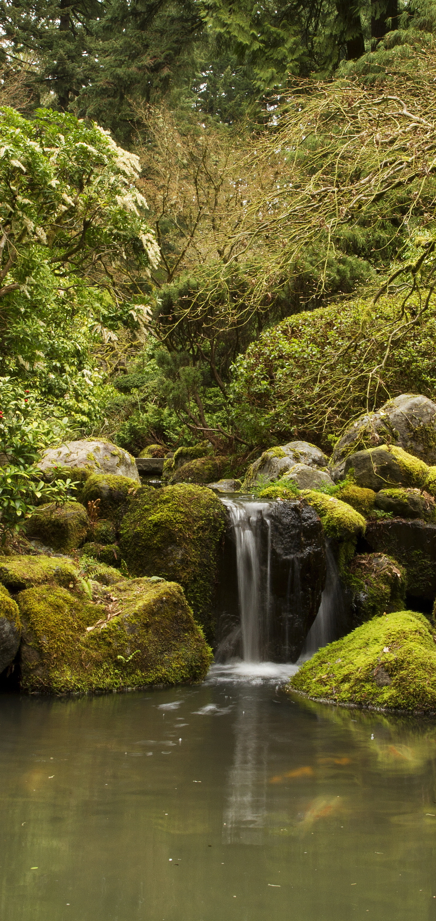 Download mobile wallpaper Nature, Bush, Waterfall, Pond, Koi, Man Made, Japanese Garden for free.
