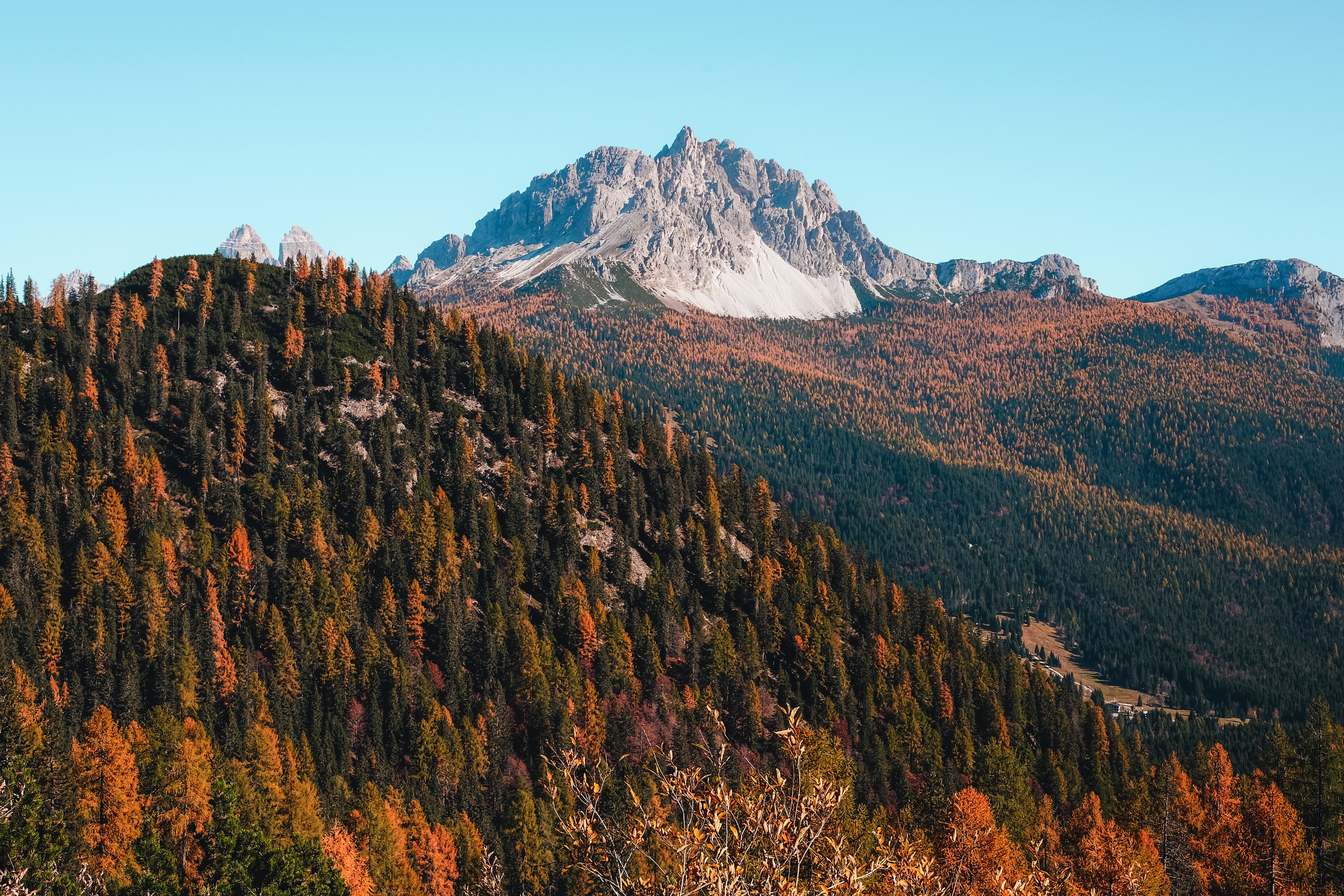 Скачать обои бесплатно Природа, Горы, Деревья, Осень картинка на рабочий стол ПК