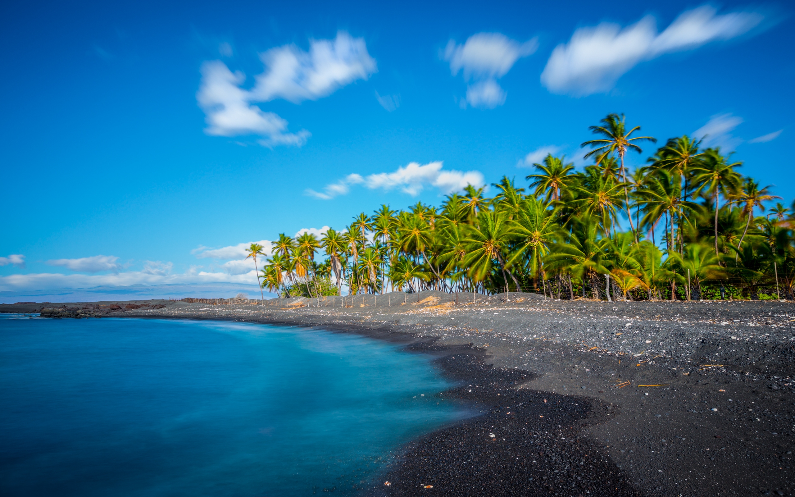 Скачать картинку Пляж, Песок, Пальмы, Залив, Гавайи, Земля/природа в телефон бесплатно.