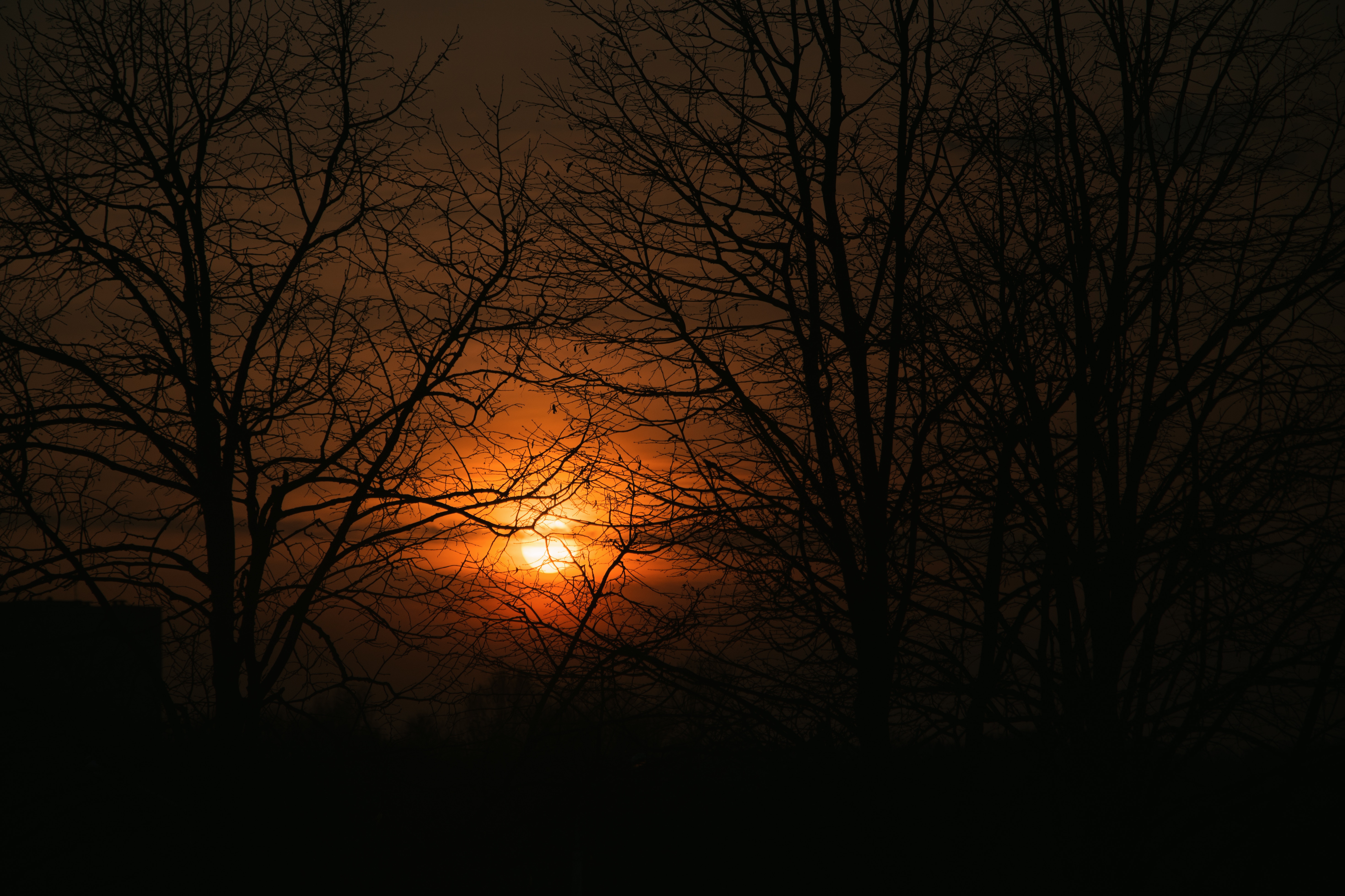 Free download wallpaper Sunset, Sky, Branches, Trees, Sun, Dark on your PC desktop