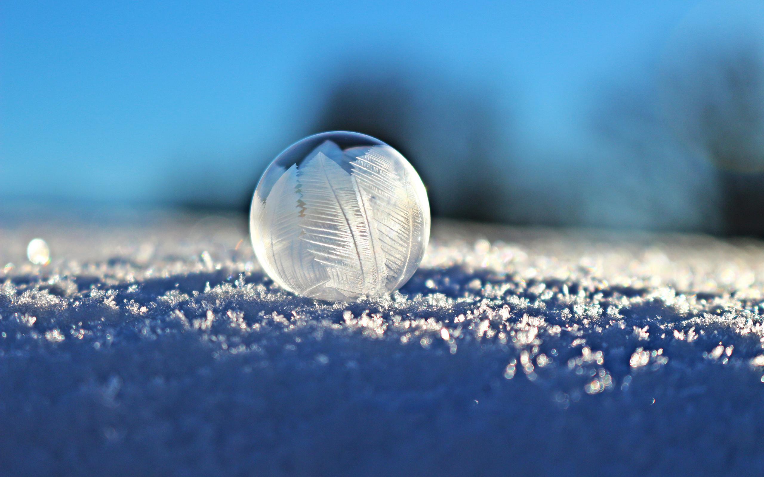 Скачать картинку Зима, Пузыри, Снег, Шар, Мороз, Фотографии, Макрос в телефон бесплатно.
