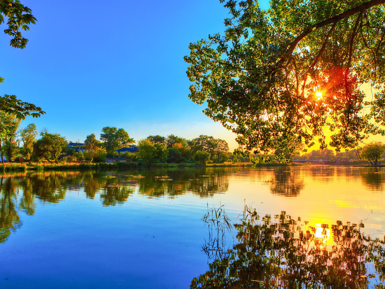 Laden Sie das Bäume, Sunset, Landschaft, Flüsse-Bild kostenlos auf Ihren PC-Desktop herunter