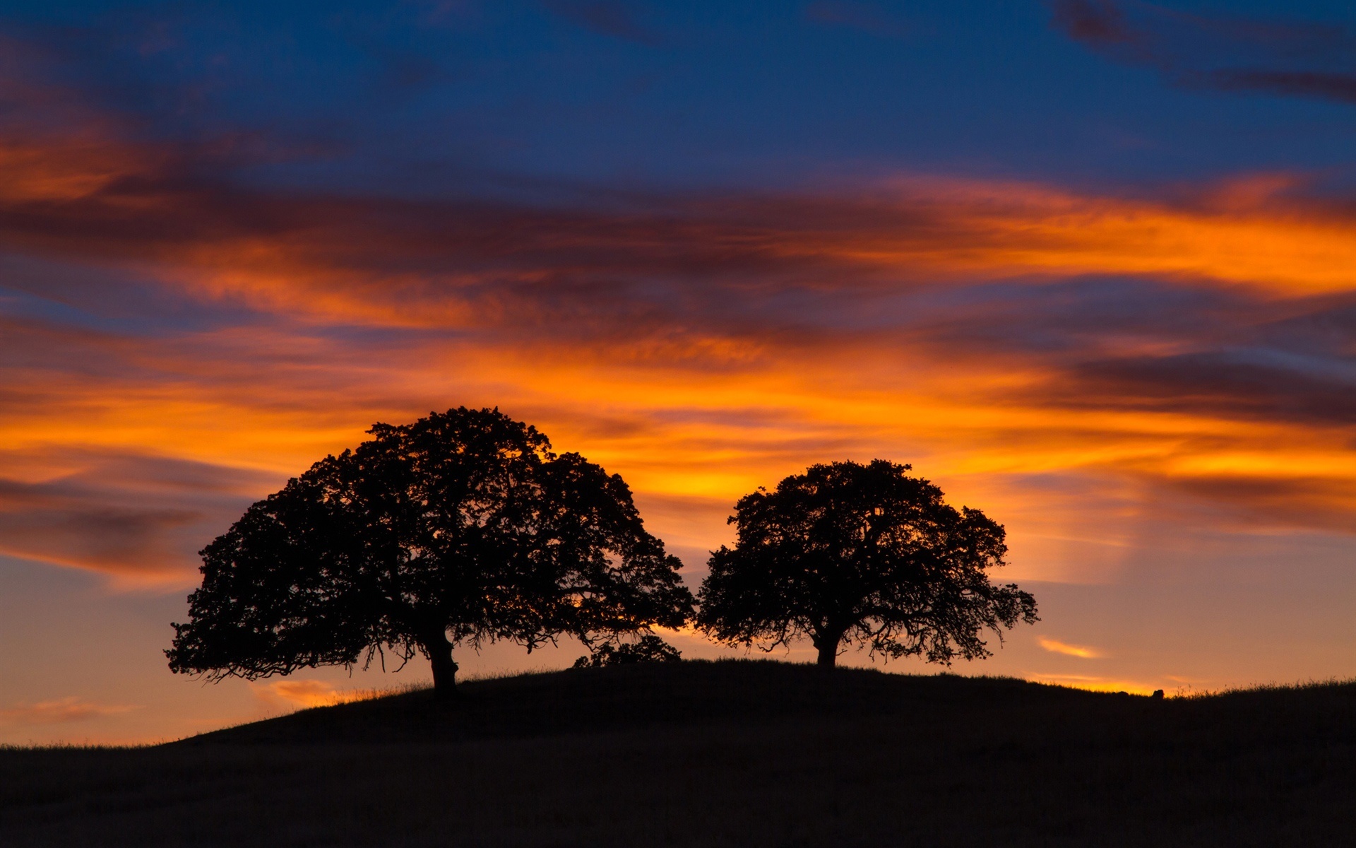 Handy-Wallpaper Natur, Silhouette, Baum, Wolke, Sonnenuntergang, Erde/natur kostenlos herunterladen.