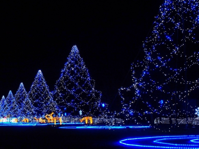 PCデスクトップにクリスマス, 光, 青い, クリスマスツリー, 夜, ホリデー, クリスマスのあかり画像を無料でダウンロード