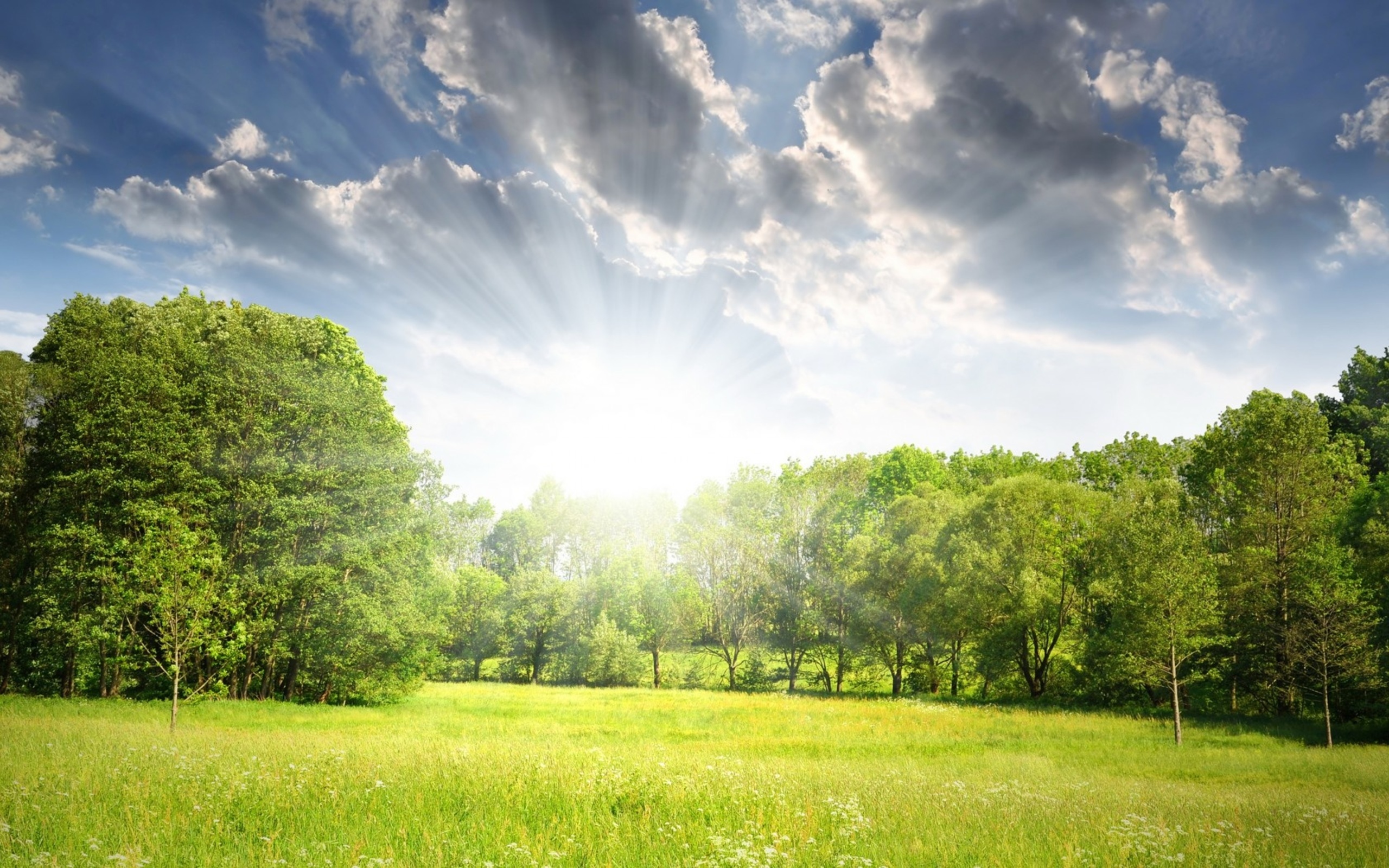 Handy-Wallpaper Landschaft, Erde/natur kostenlos herunterladen.