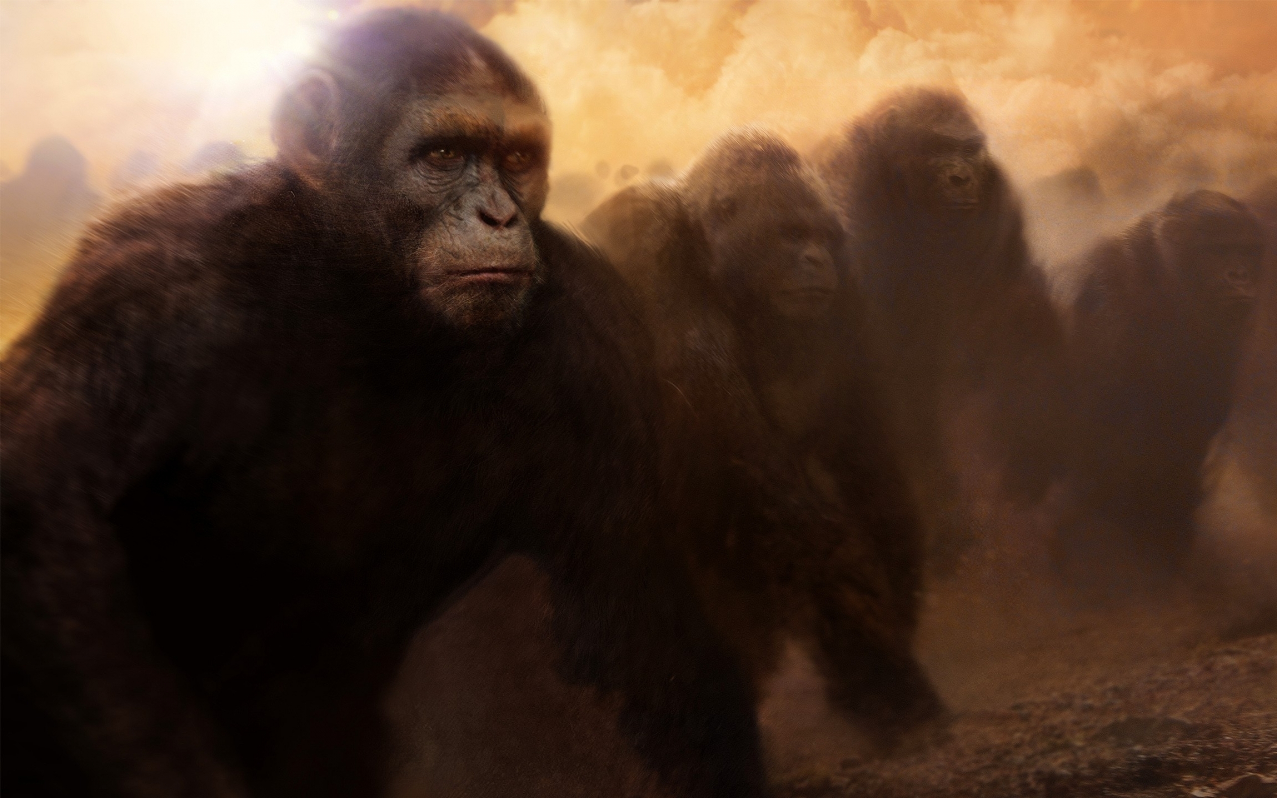 579821 descargar imagen películas, el origen del planeta de los simios: fondos de pantalla y protectores de pantalla gratis