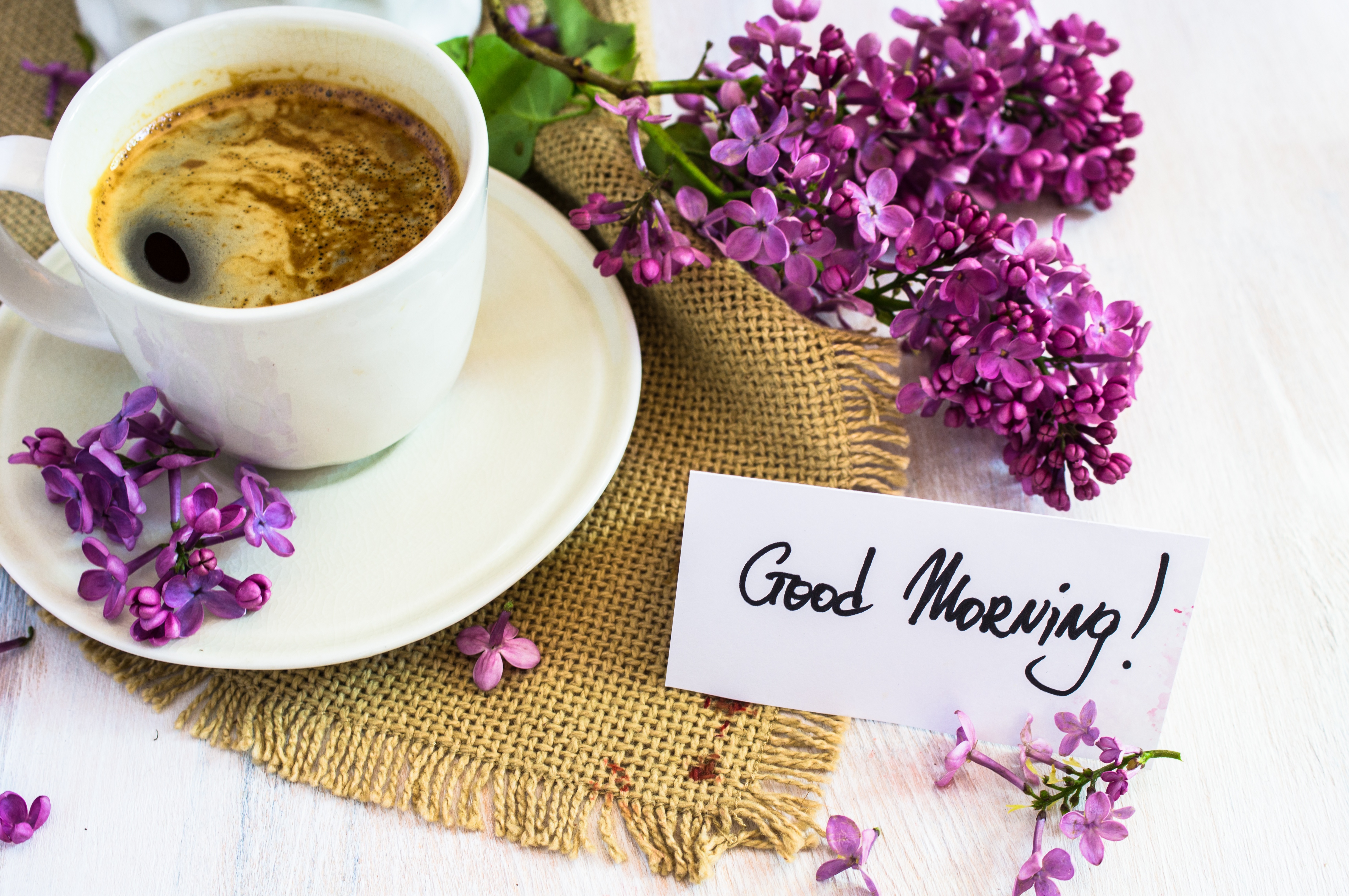 Download mobile wallpaper Food, Coffee, Flower, Cup, Drink, Purple Flower for free.