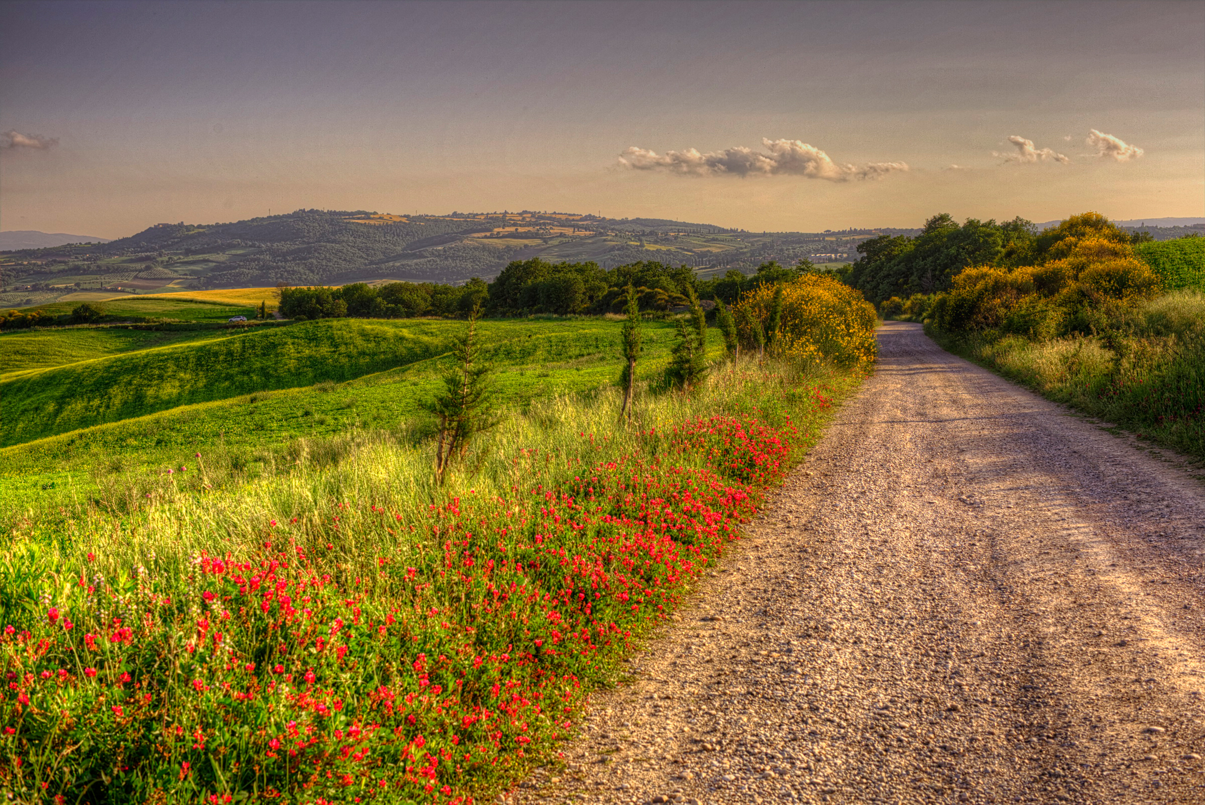 Free download wallpaper Landscape, Nature, Grass, Summer, Italy, Flower, Road, Earth, Field on your PC desktop